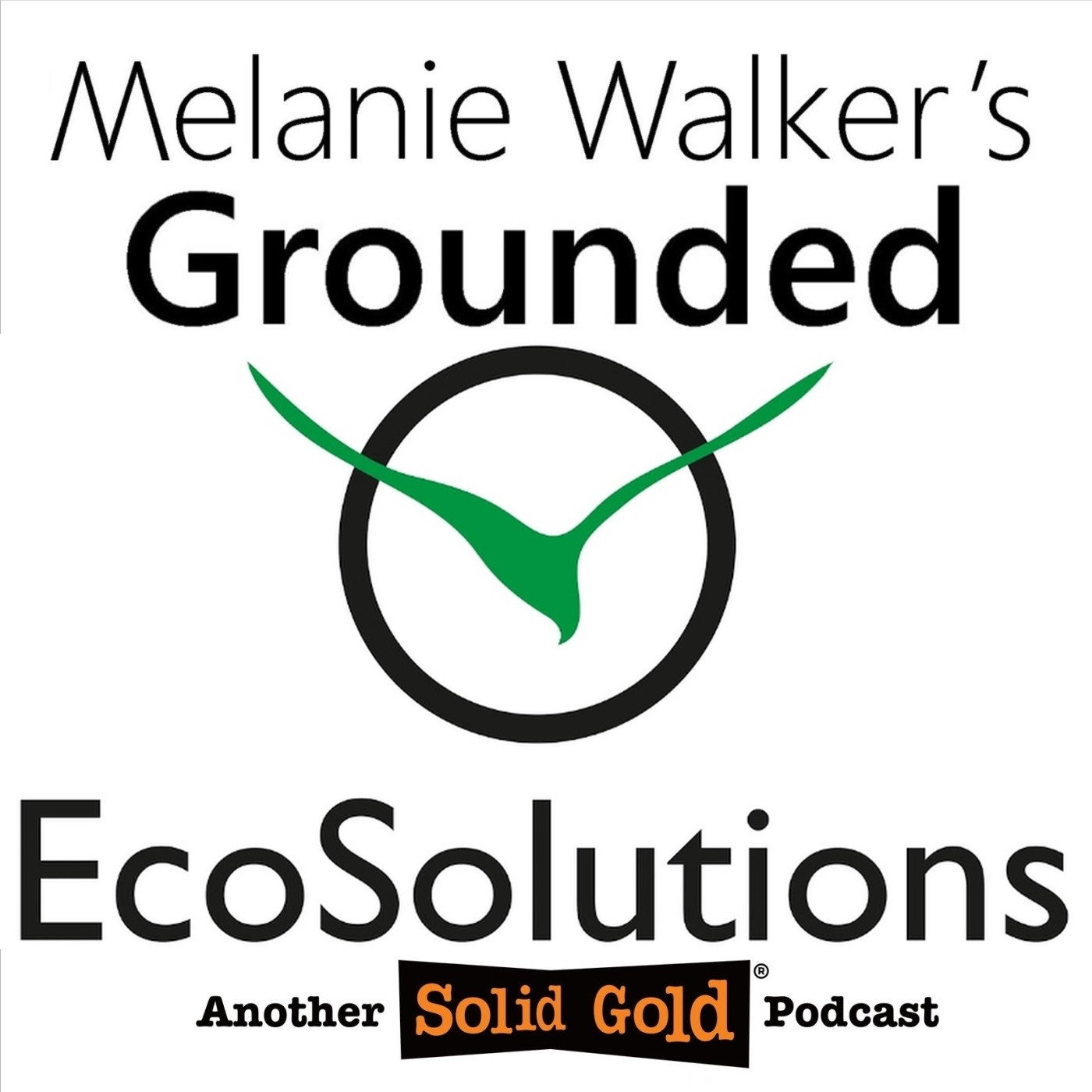 #085 Well - Bats may seem like that to rats, but we think so too! | Jonathan Haw