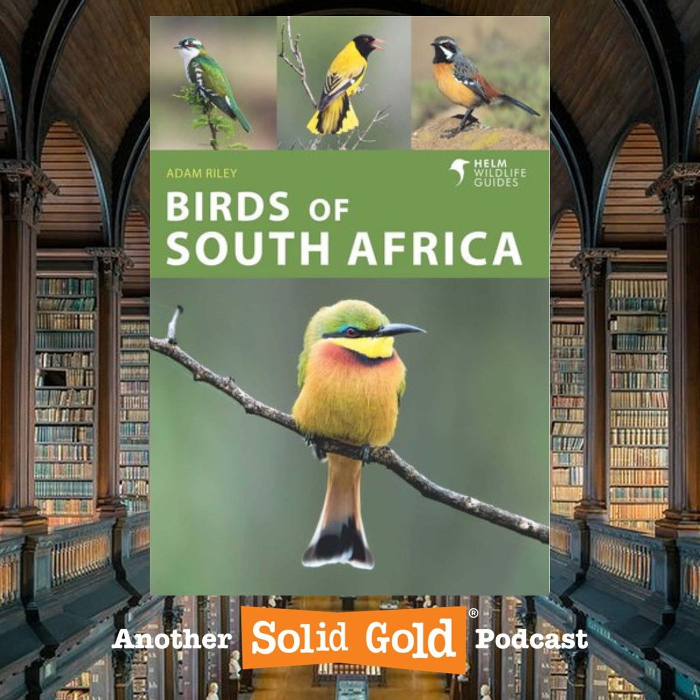 The Reading Room with Melanie Walker