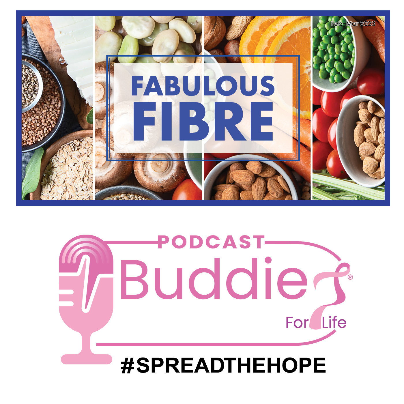 Fabulous Fibre episode artwork