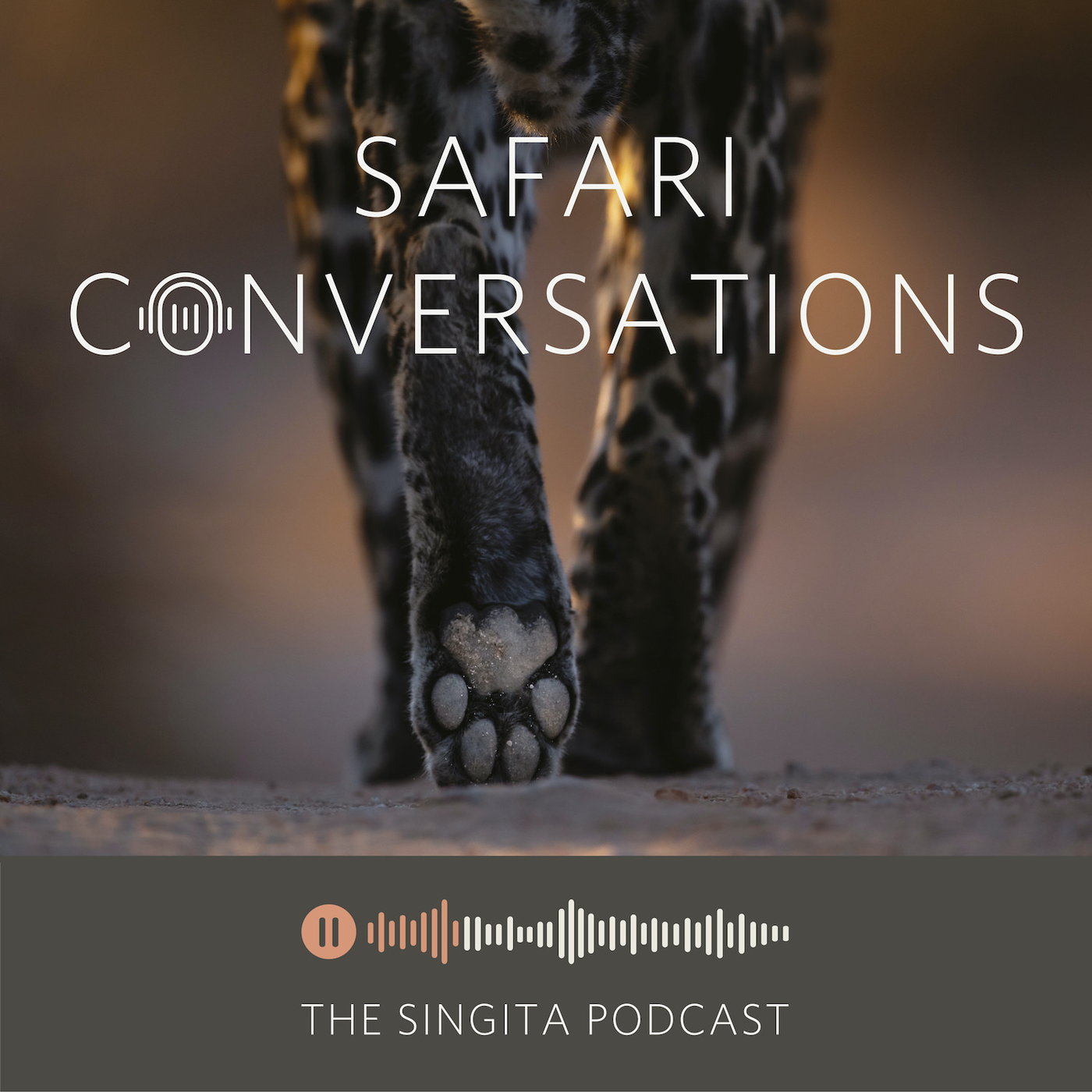 Visual Storytelling and the Role of Photography in Ecotourism episode artwork
