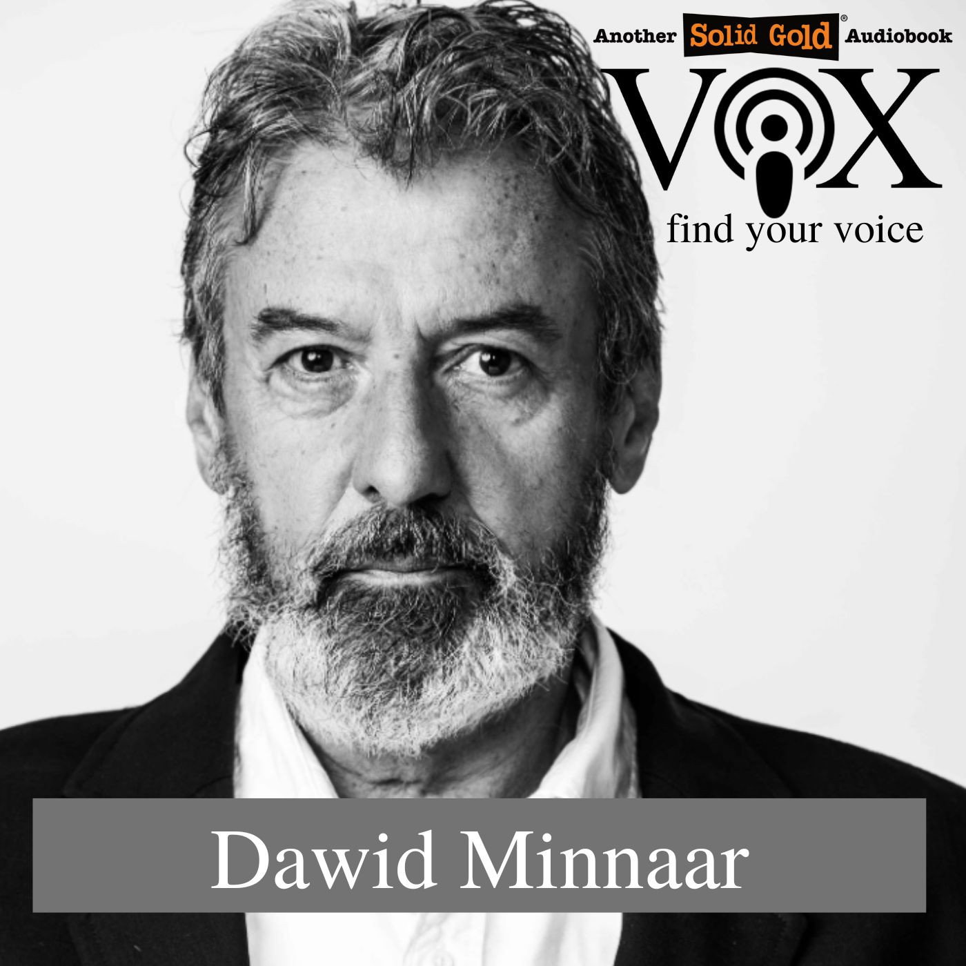 Dawid Minnaar | Vox - find your Audiobook voice episode artwork