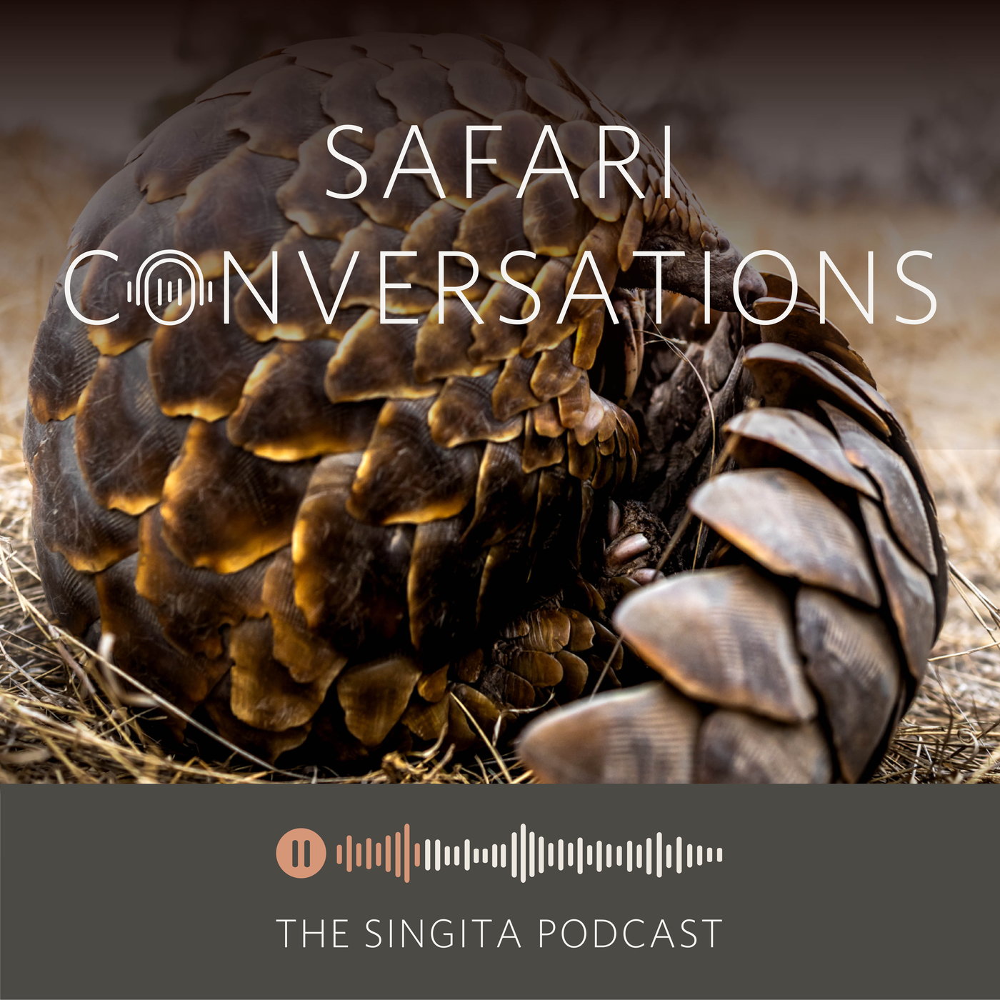 Saving a Species: Pangolin - Teaming Up with Pangolin Africa episode artwork