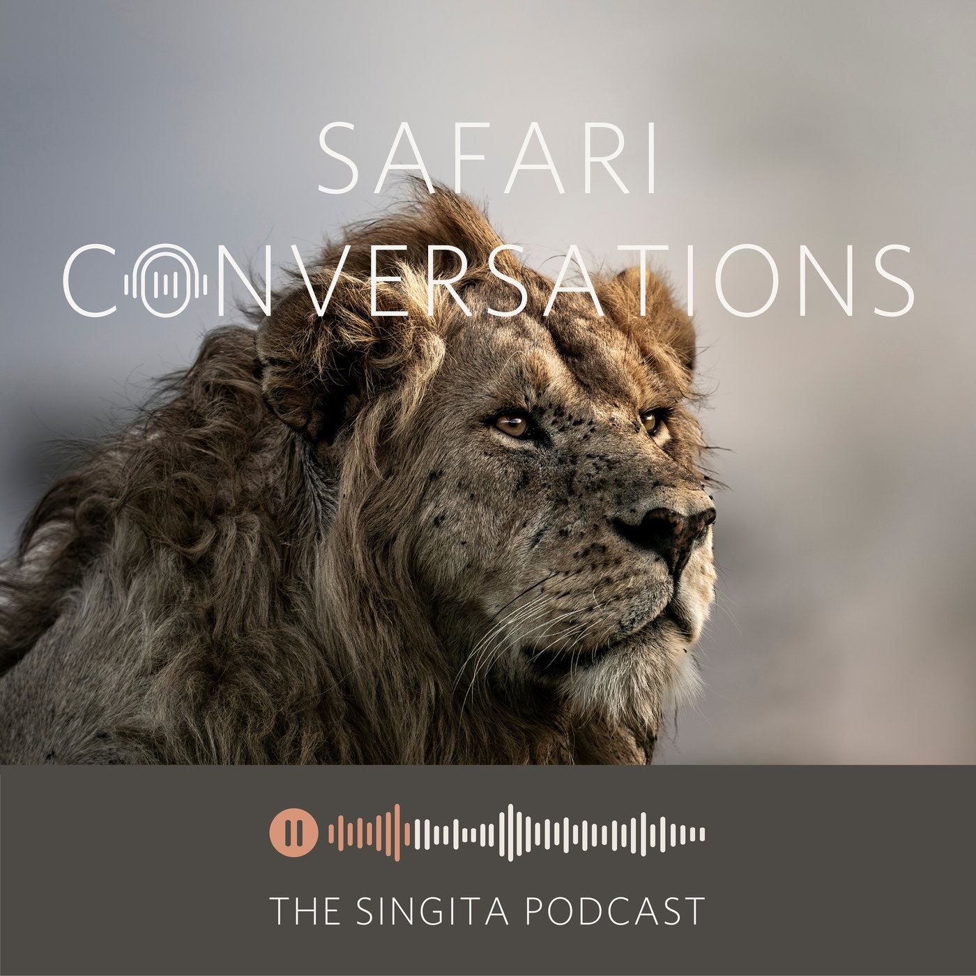 Saving a Species: Lions - The EWT’s mission to Protect the Pride of Africa episode artwork