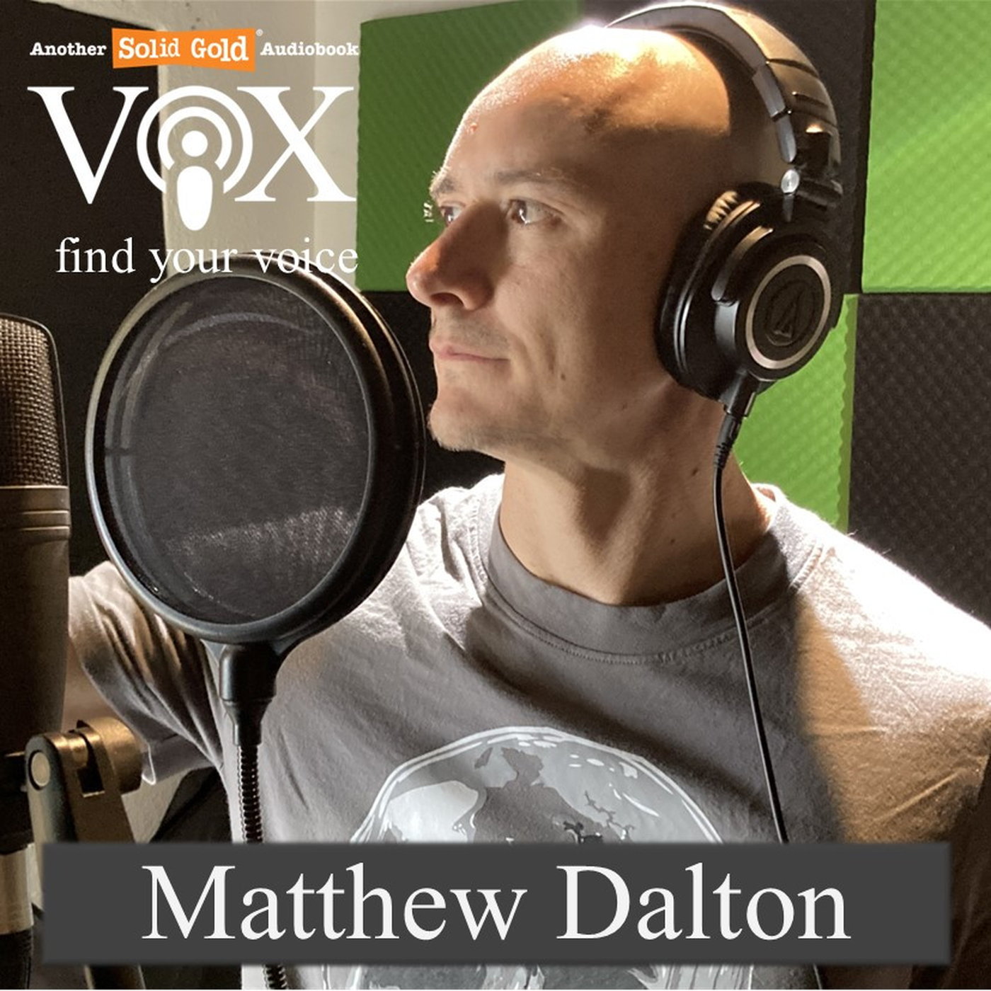 Matthew Dalton | Vox - find your Audiobook voice episode artwork