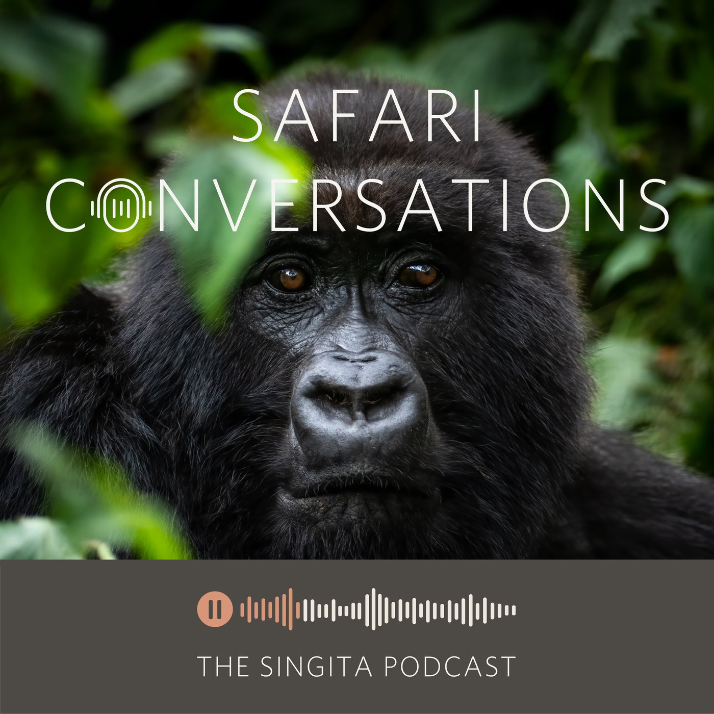 Saving a Species: Gorillas - Inside Rwanda's Plan to Protect Mountain Gorillas from Extinction episode artwork