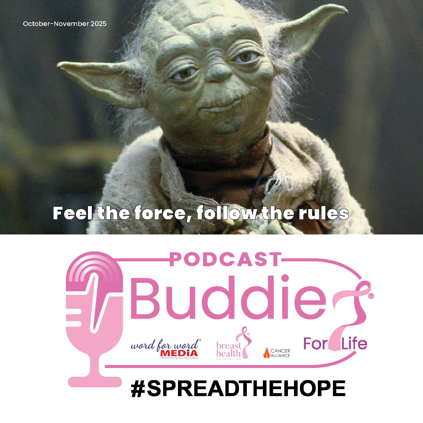 Feel the Force, follow the rules episode artwork