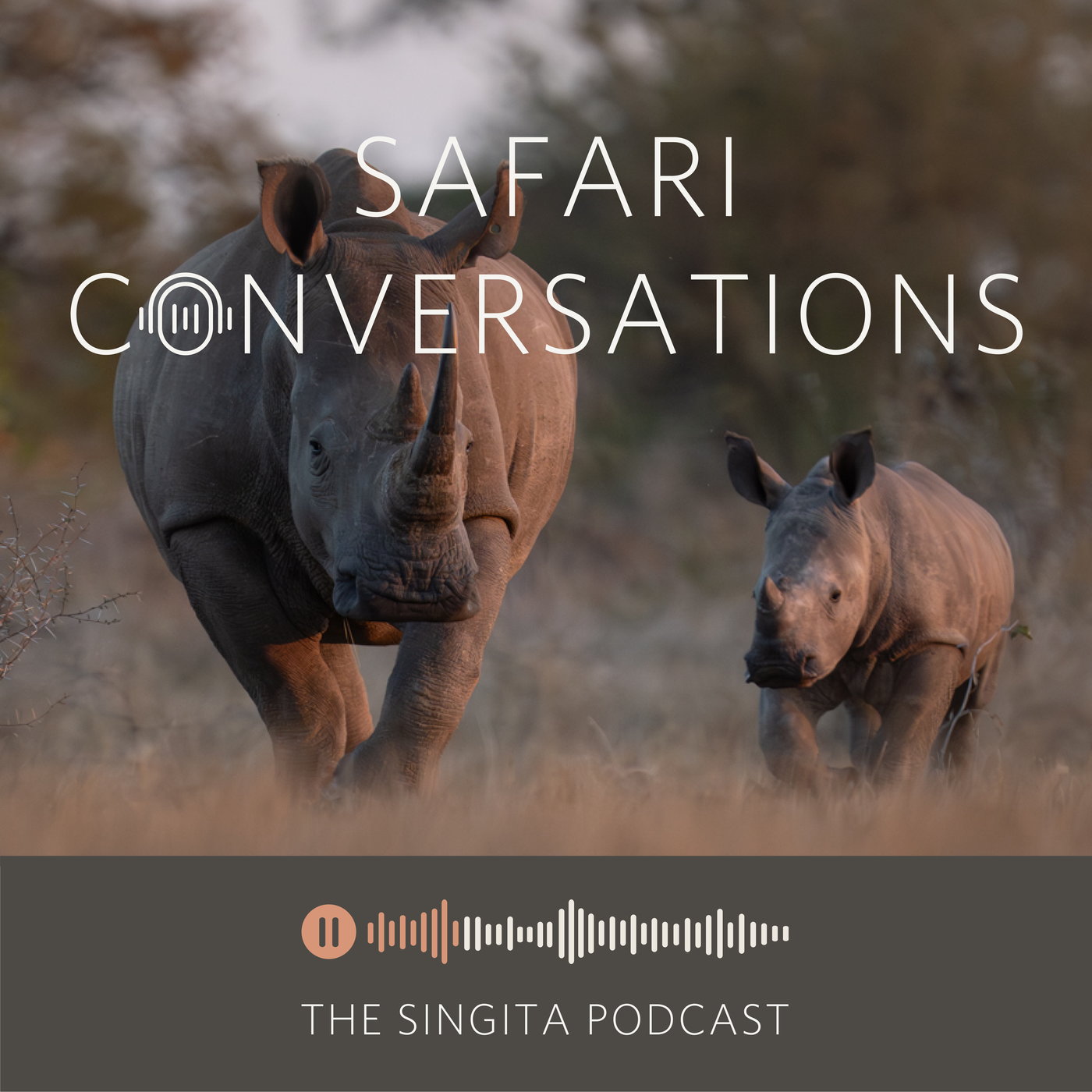 Saving a Species: Rhino | Rewriting the Future - The Malilangwe Trust’s two historic translocations to Gonarezhou