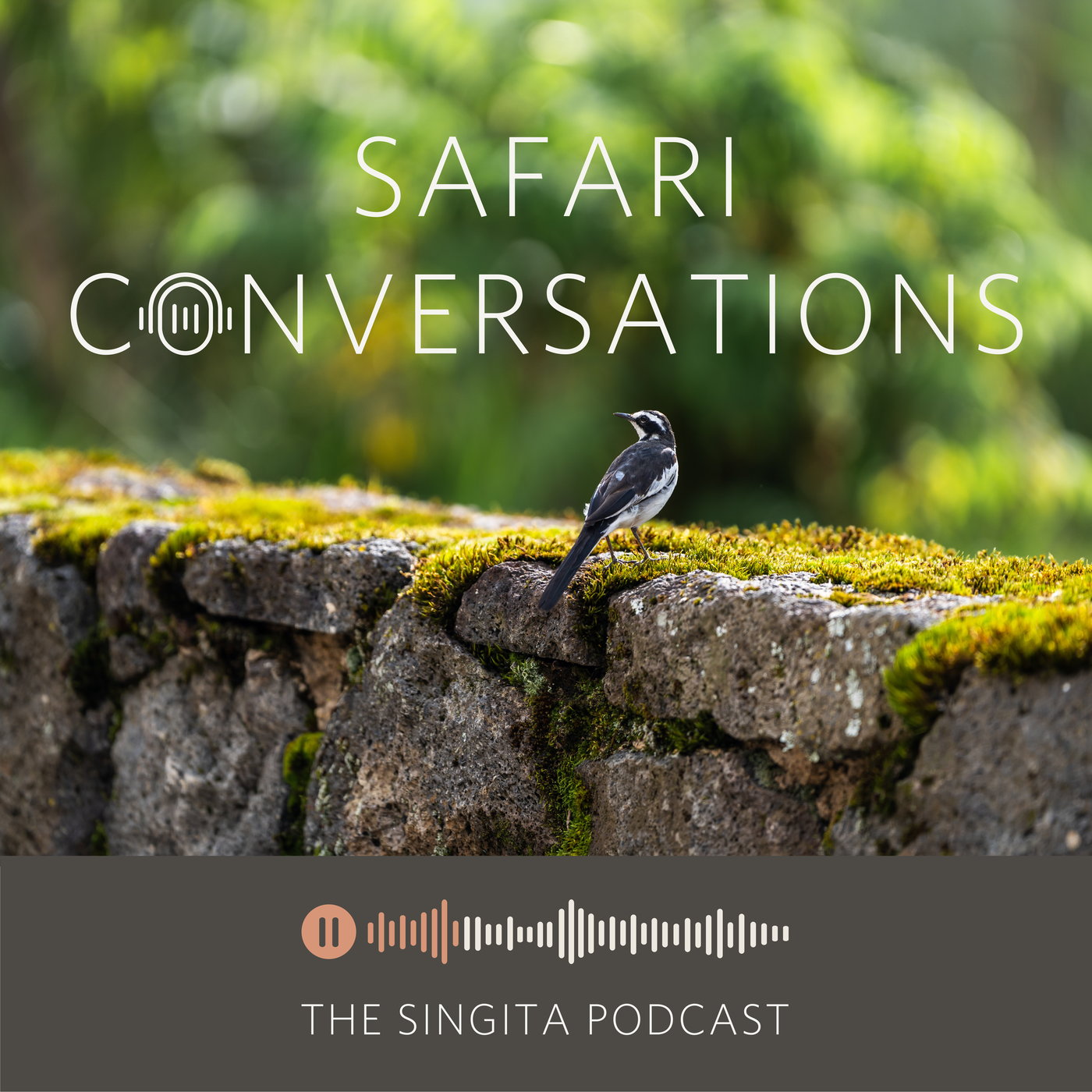 Conscious Travel - A Ripple Effect That Continues After Your Visit to Rwanda episode artwork