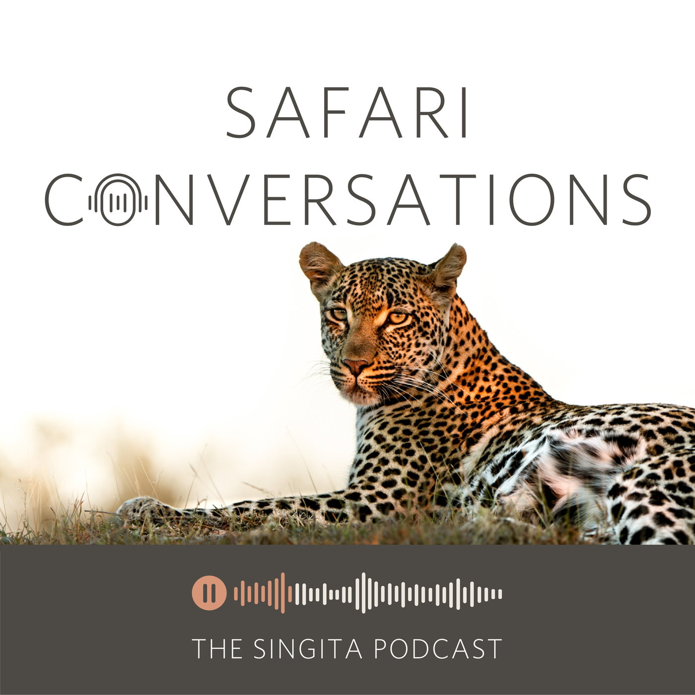 Saving a Species: Leopards - Spot on. Panthera's Mission to Protect Leopards Saving a Species: Leopards - Spot on. Panthera's Mission to Protect Leopards