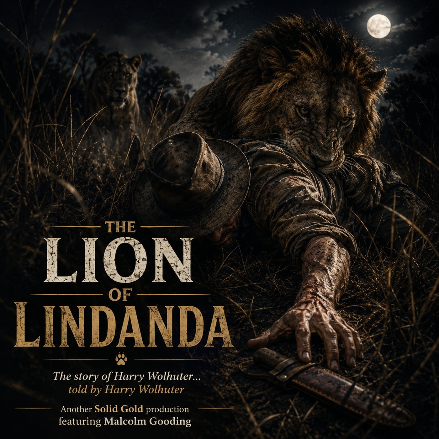 The Lion of Lindanda - The Story of Harry Wolhuter, told by Harry Wolhuter episode artwork