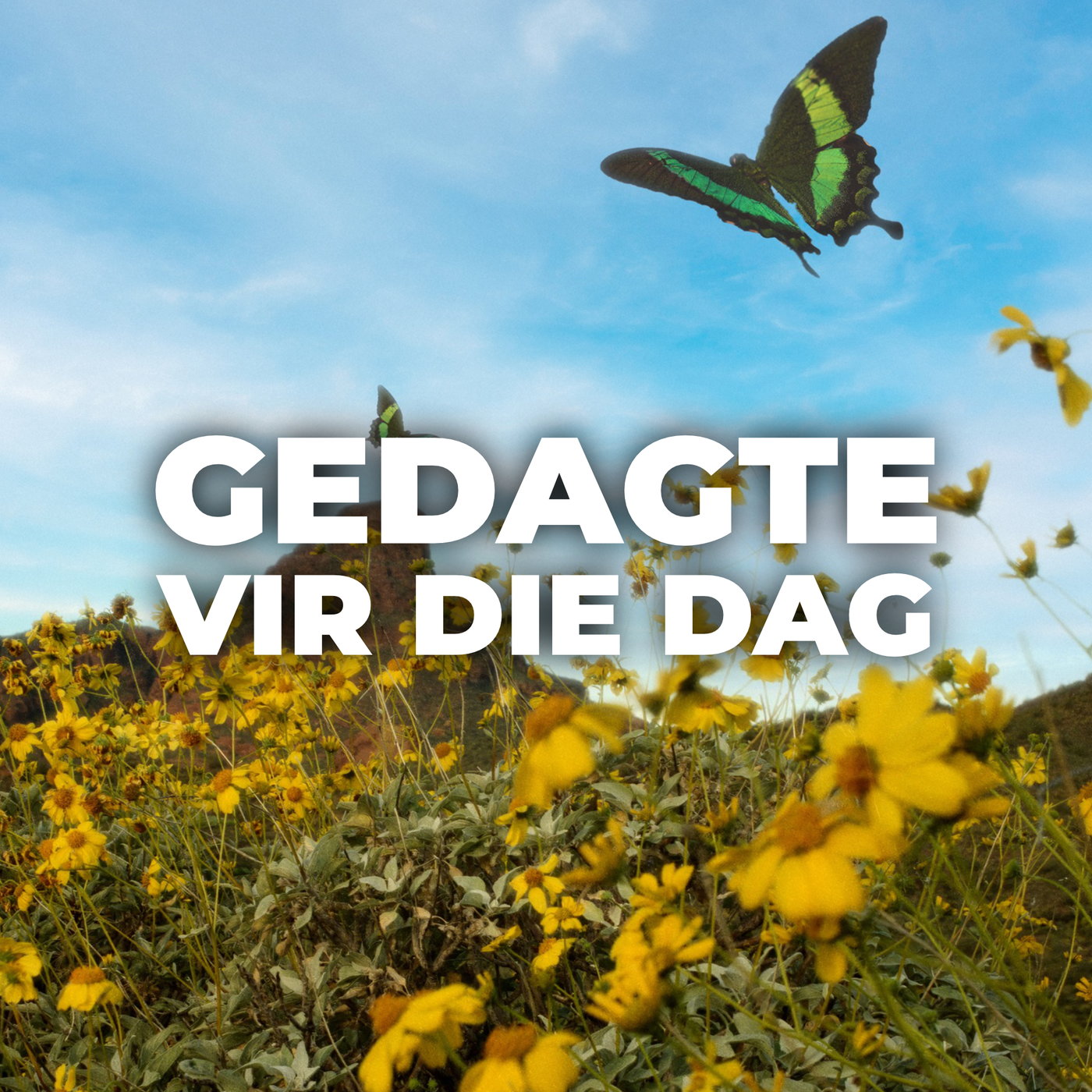 Gedagte vir die dag met Johan Els 24 Julie 2026 episode artwork