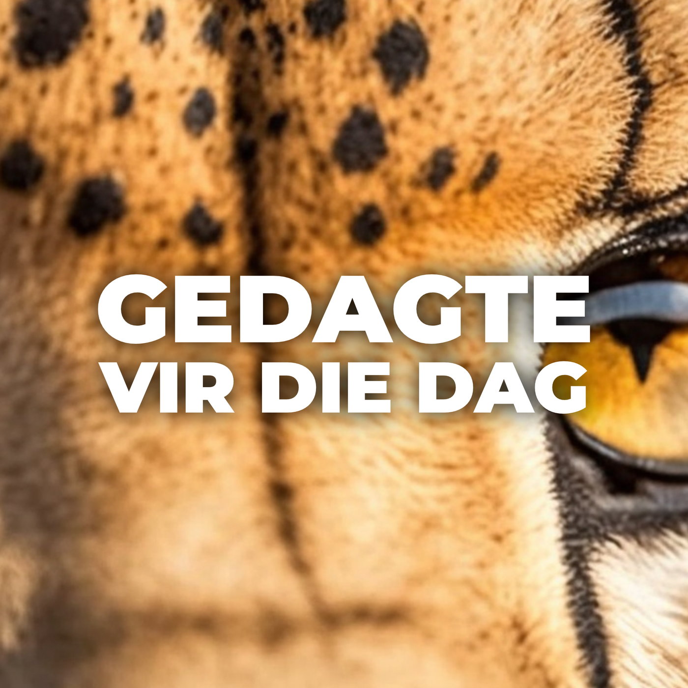 Gedagte vir die dag met Johan Els 29 Julie 2026 episode artwork