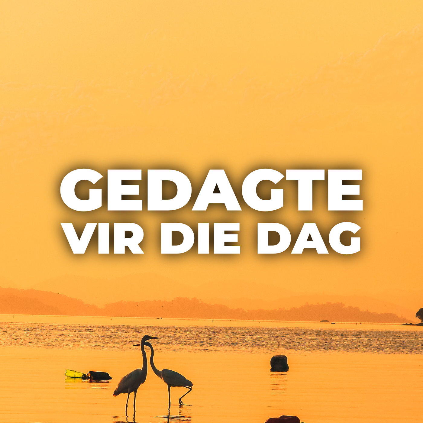 Gedagte vir die dag met Johan Els 12 Augustus 2026 episode artwork