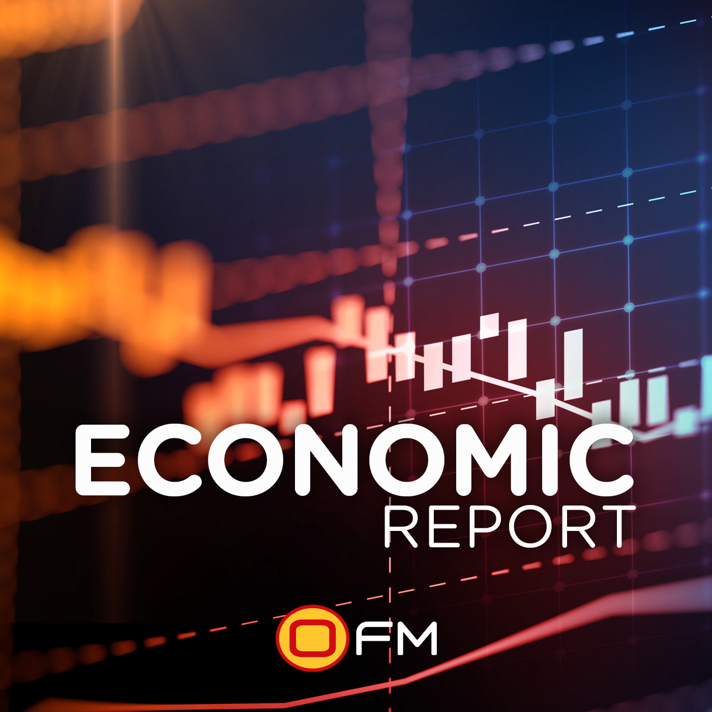 Economic Report with Dawie Roodt 11 February