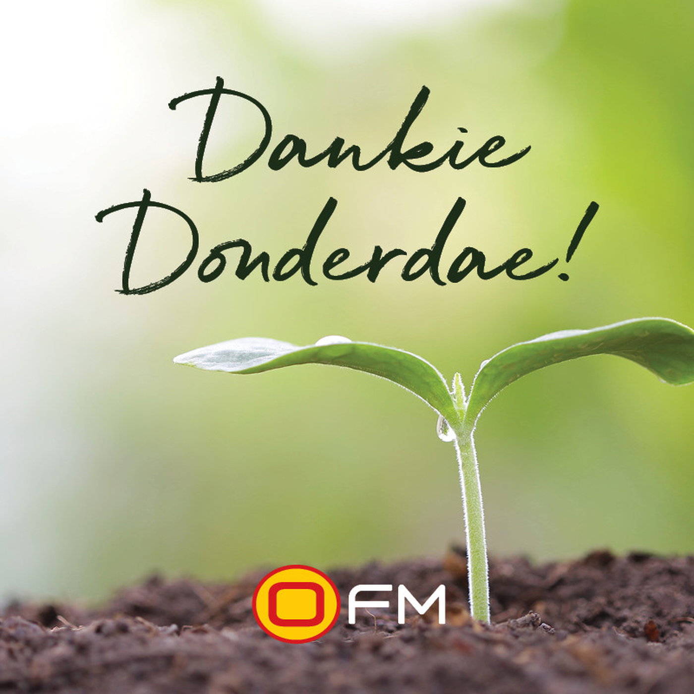 #OFMDankieDonderdag - Pieter Moller episode artwork