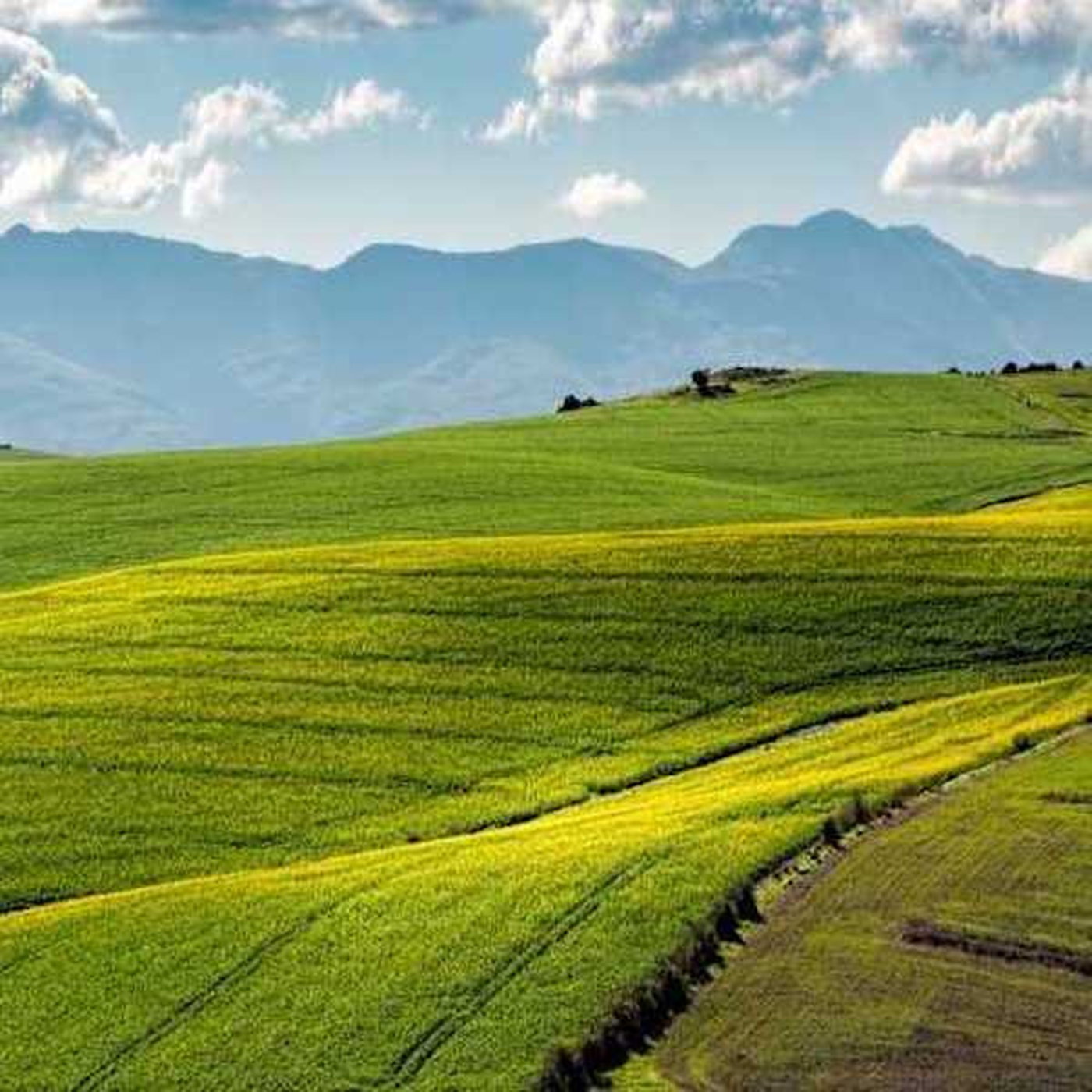 Ideology trips Ramaphosa; Anti-expropriation drive ramps up; NHI deflates Discovery; Steinhoff episode artwork