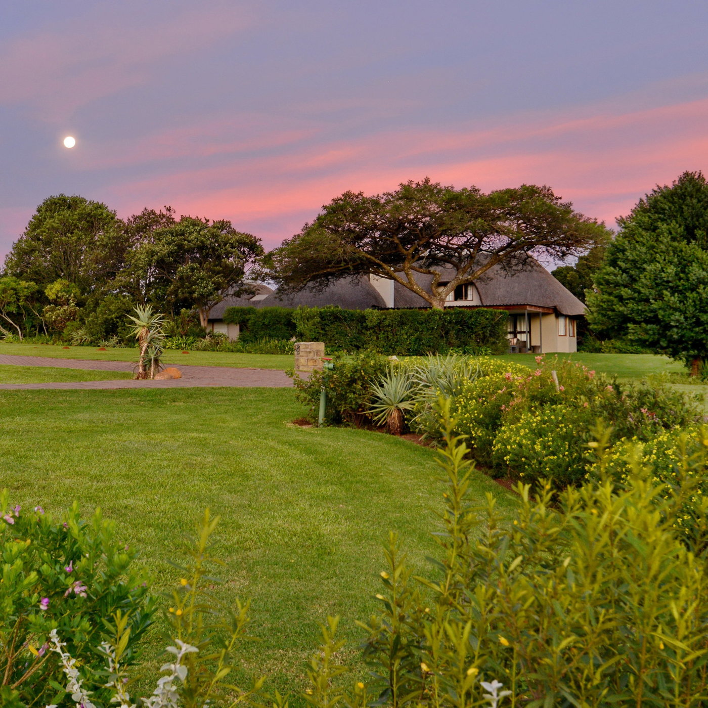 Montusi Mountain Lodge: A Family Legacy in the Northern Drakensberg