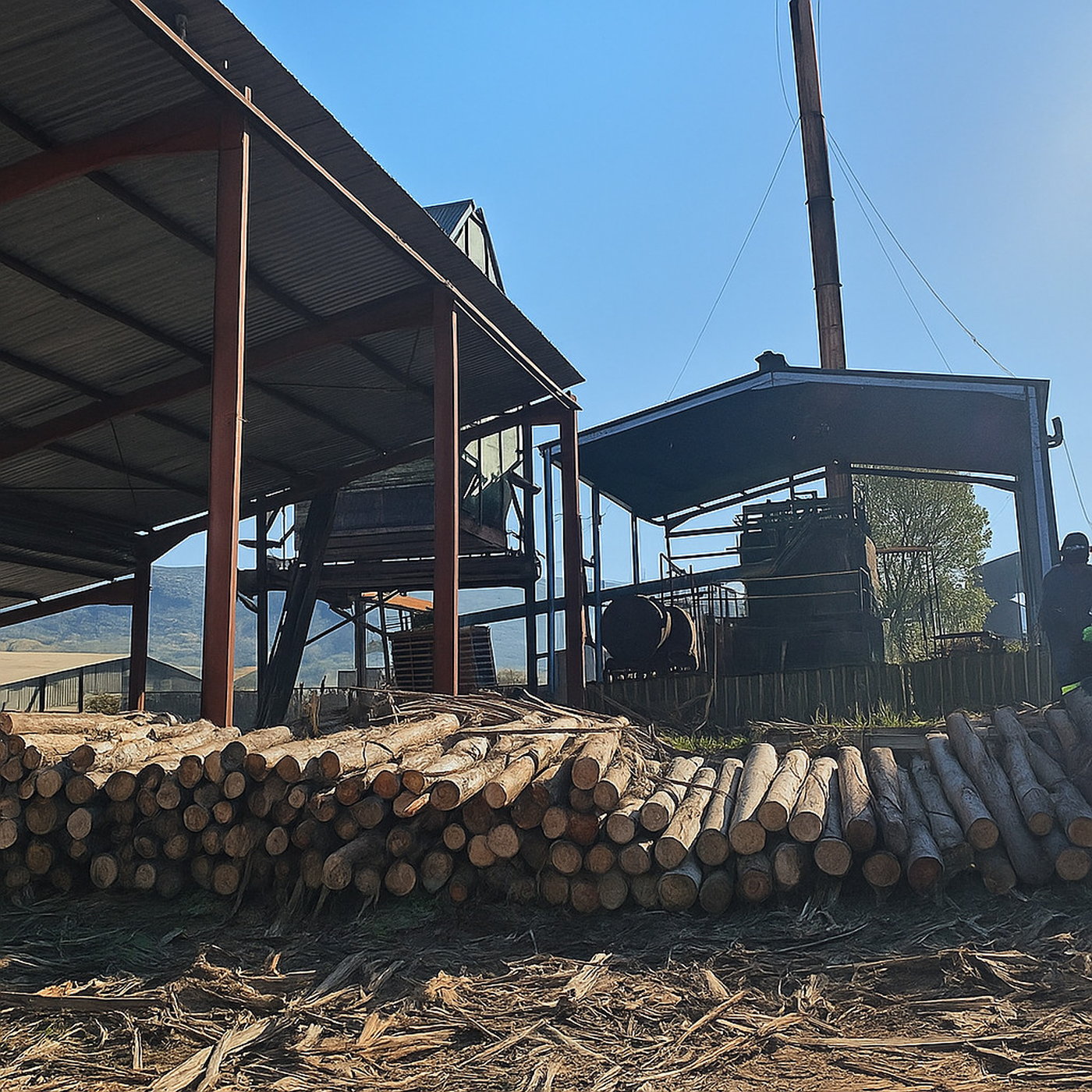 Akili Timber: A Local Business with Deep Roots in Richmond