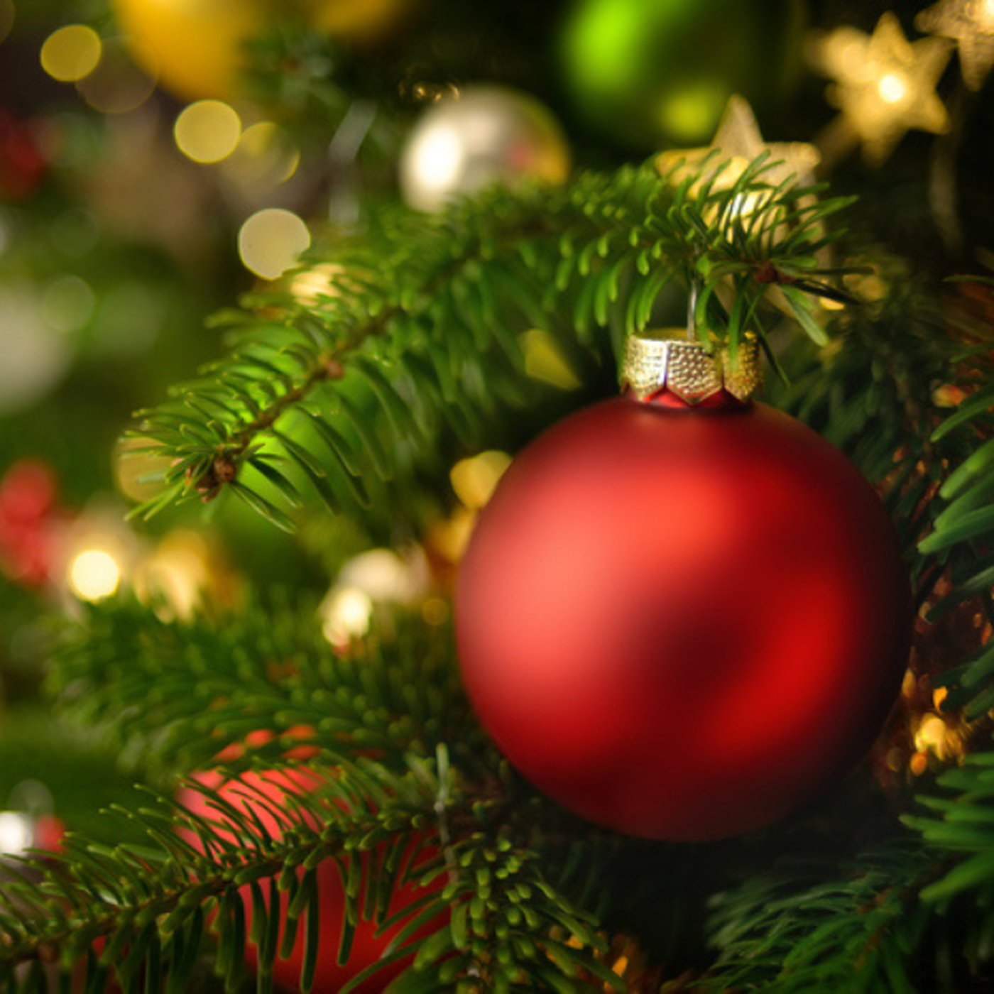 KZN has spoken! This is the correct time to put up your Christmas tree