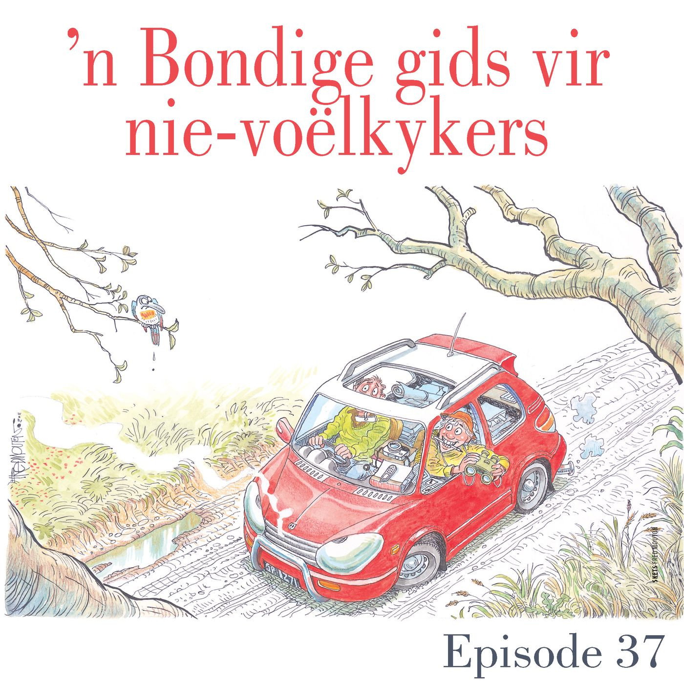 Ep.37 'n Bondige gids vir nie-voëlkykers episode artwork