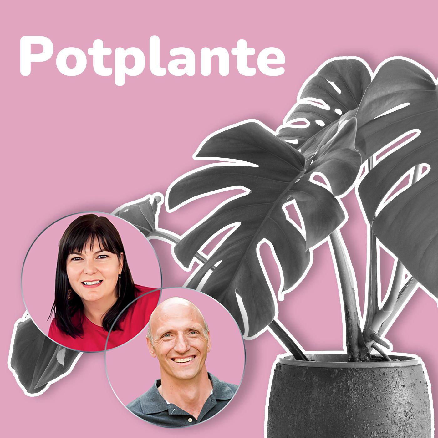 Potte by dosyne