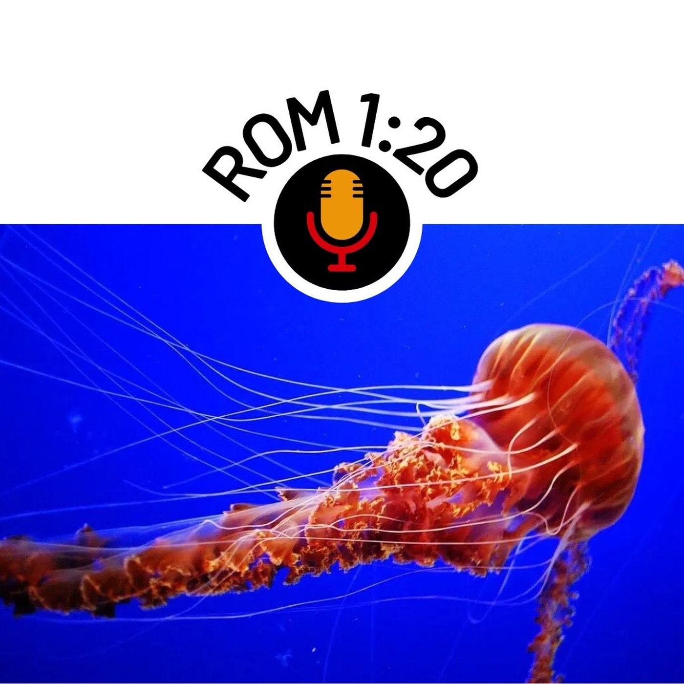 Romeine 1:20 - God openbaar in die Jellievis Romeine 1:20 - God openbaar in die Jellievis