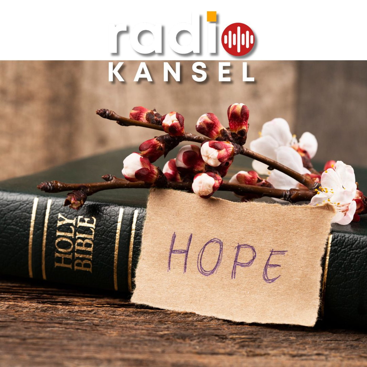 Reason for our hope episode artwork