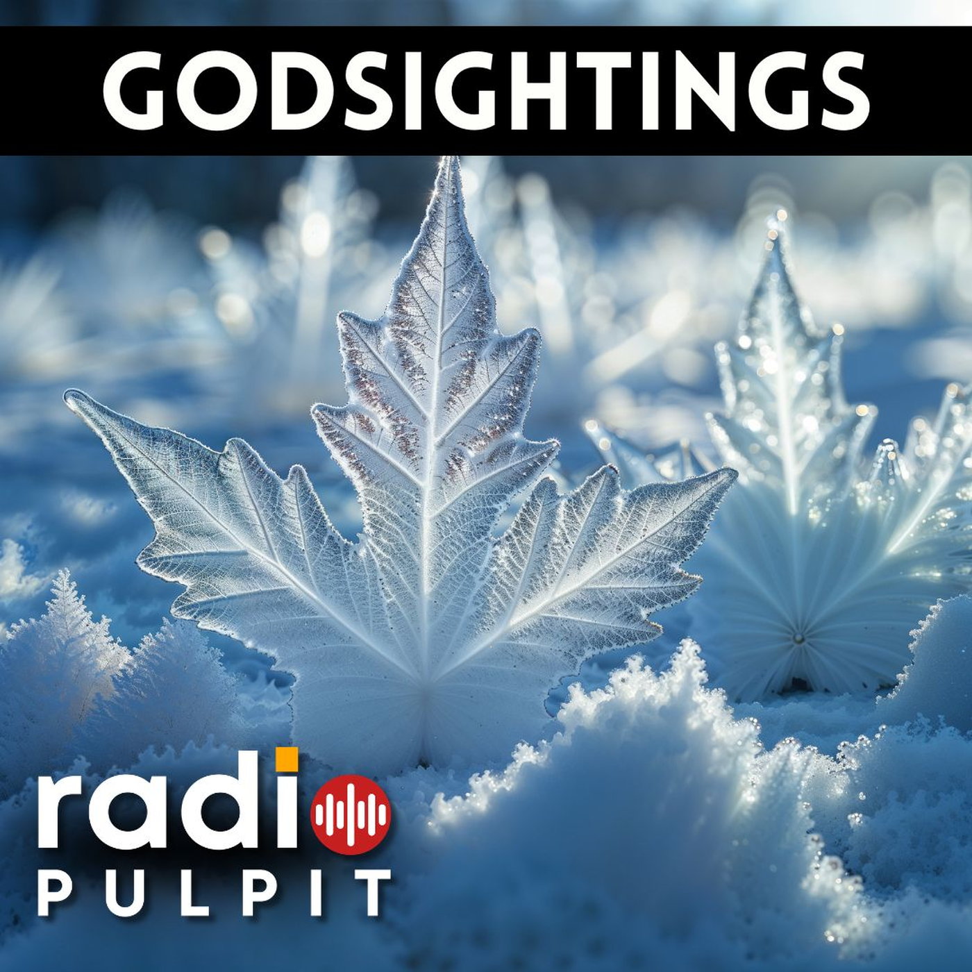 Godsightings episode artwork