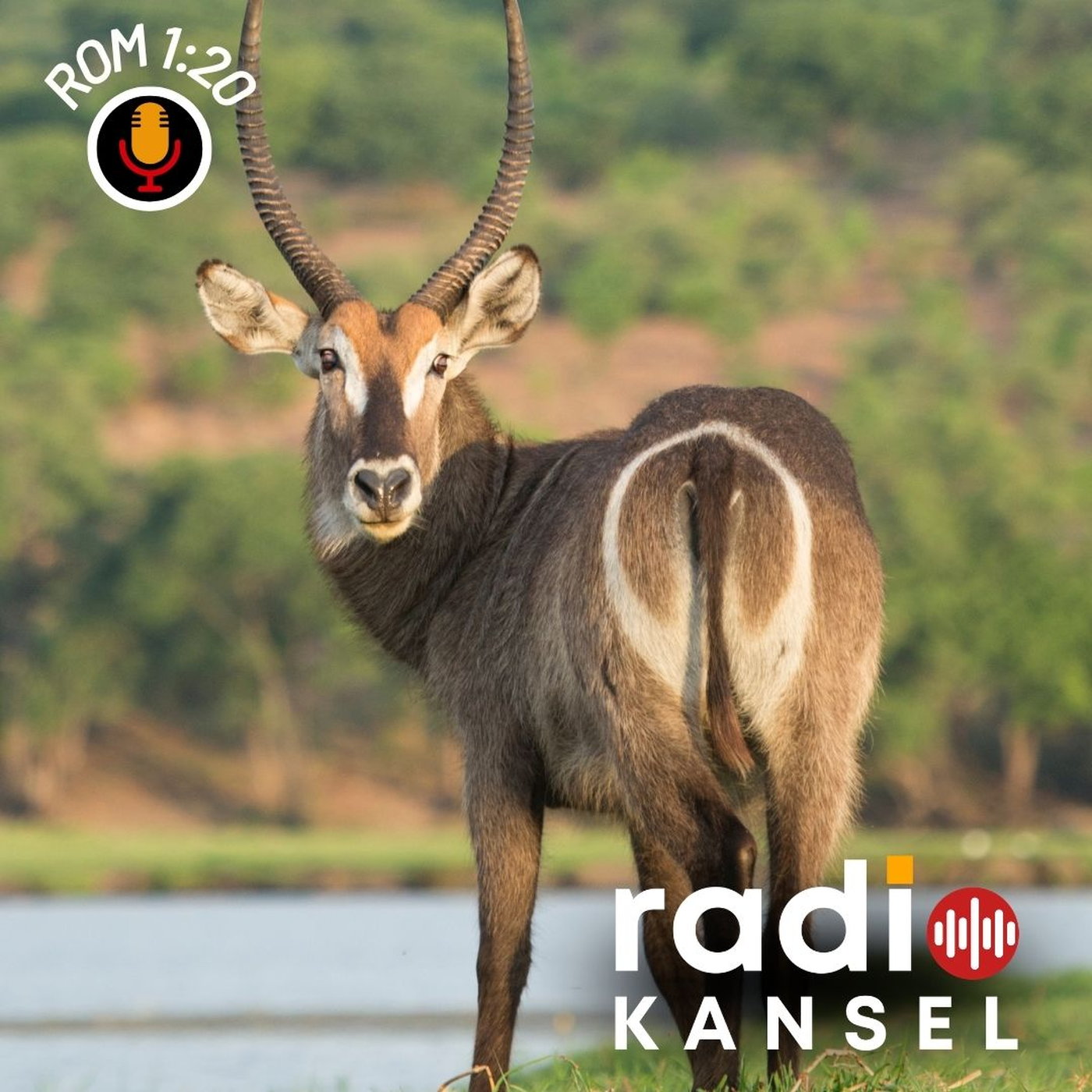 Romeine 1:20 - God openbaar in die Waterbok episode artwork