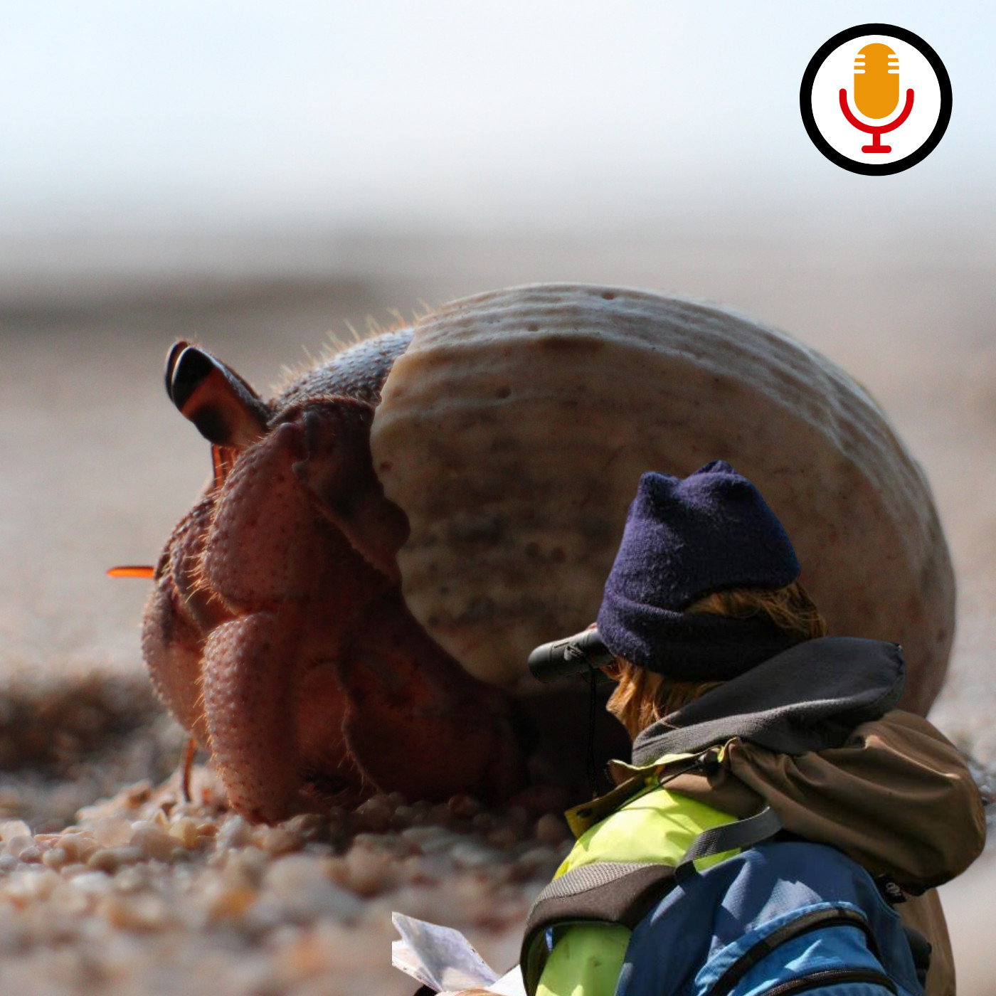 God in die Kluisenaarskrappie