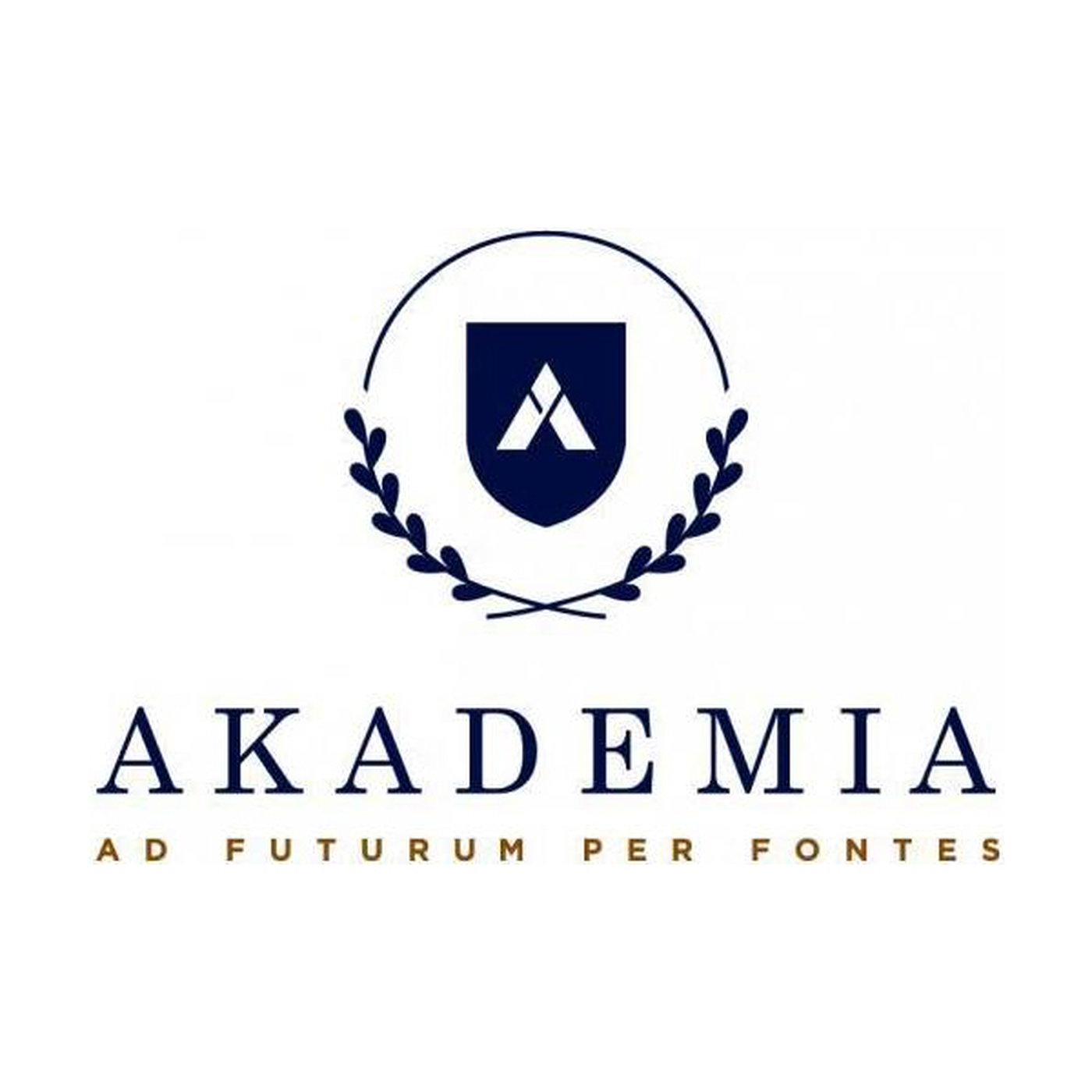 Akademia - Fanus Pienaar gesels met Lizan Maree 18-12-25 episode artwork