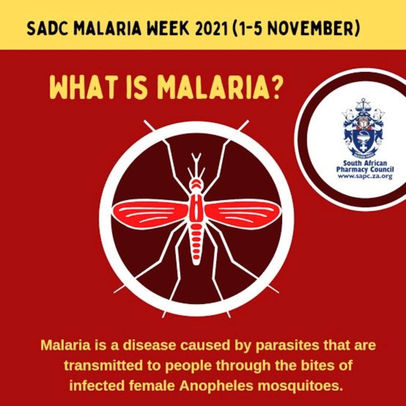Gesondheidsake: Malaria - Hartenbos Apteek 8 November 2023 episode artwork