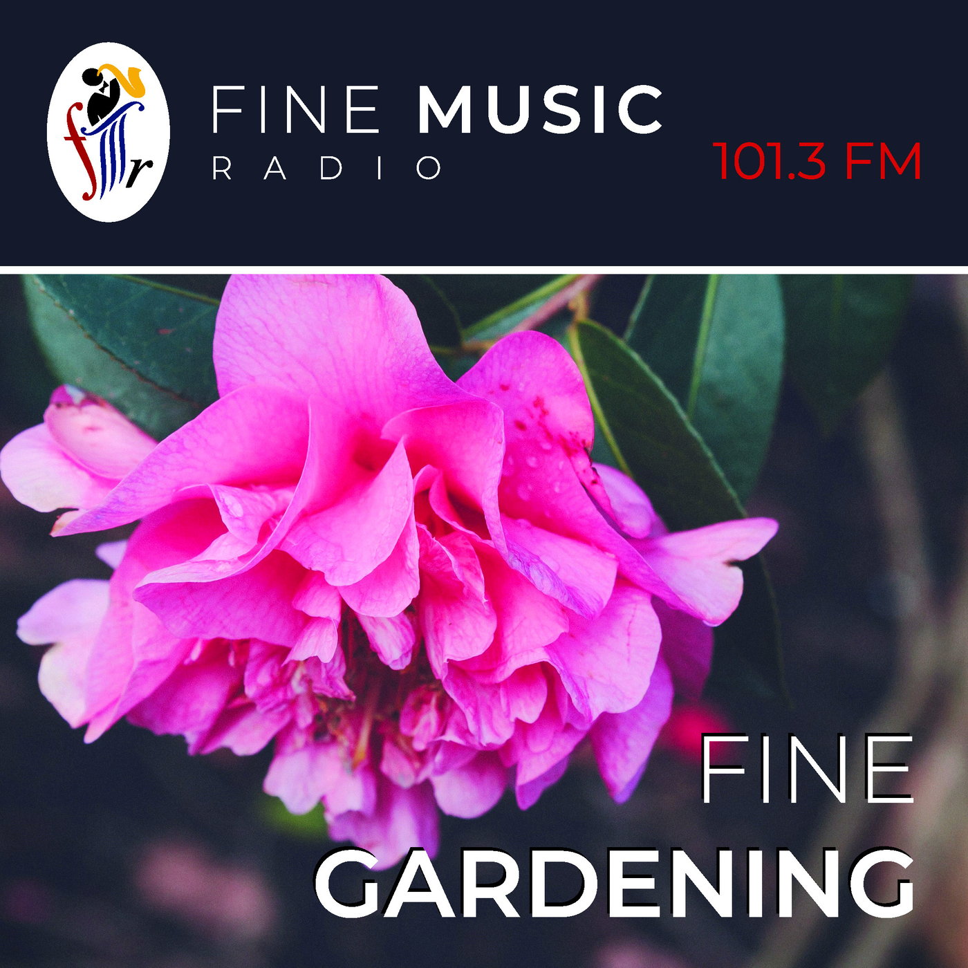 Fine Gardening - 11 July 26 episode artwork