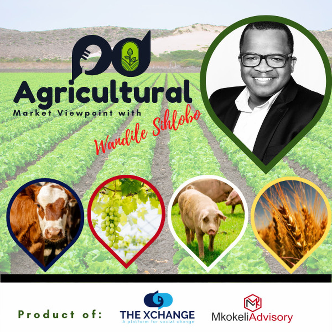 Agricultural Market Viewpoint with Wandile Sihlobo