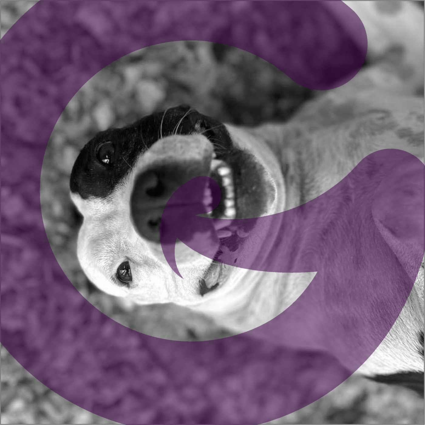 Good Things Come to Good South Africans: The Rescue Team Turning Pain Into Possibility