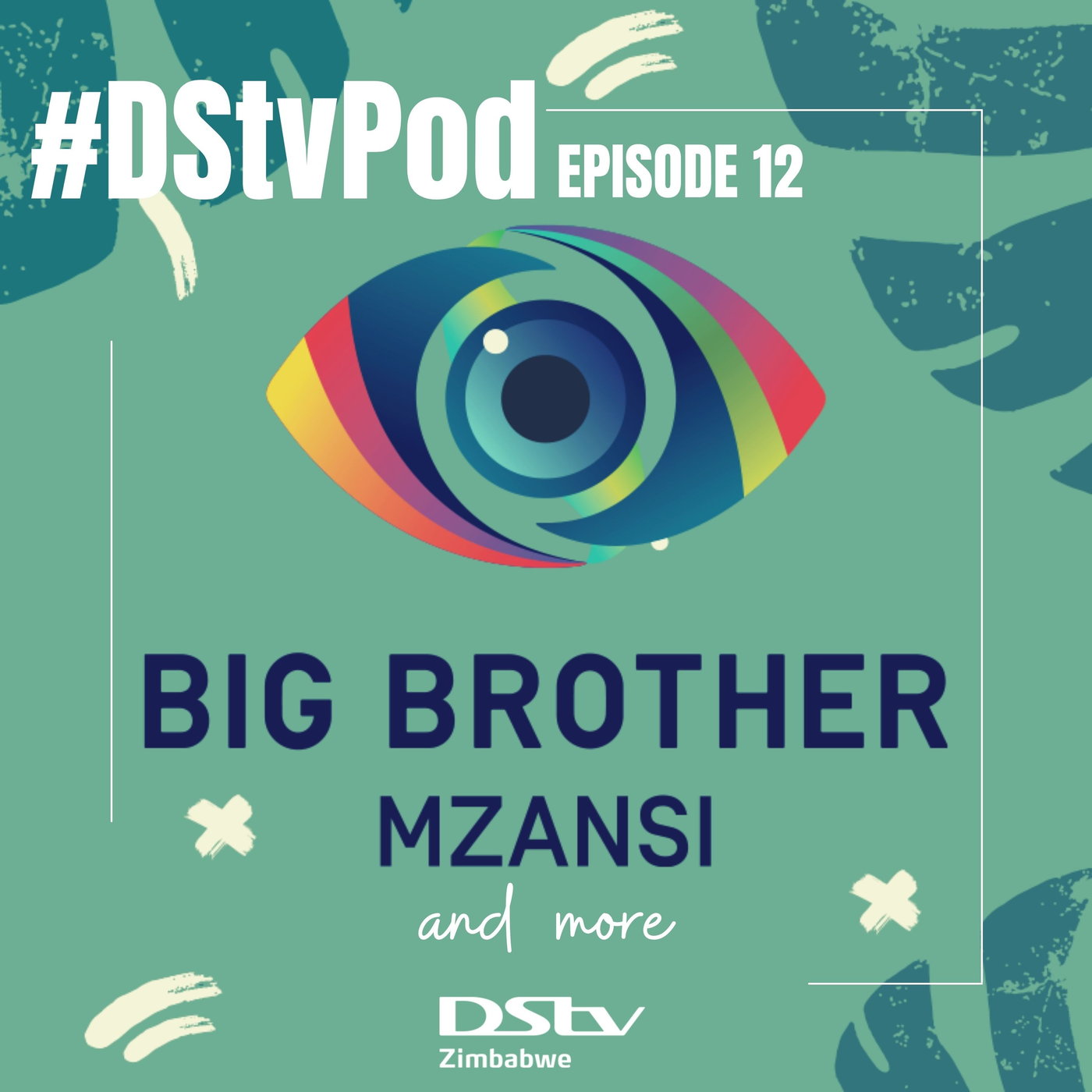 Ep 12 - Big Brother Mzansi, Zex Manatsa, Udemy and New year's delights episode artwork