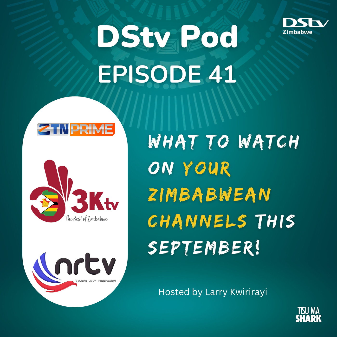 Ep 41 - What to watch on Zimbabwean TV this September 2023 episode artwork