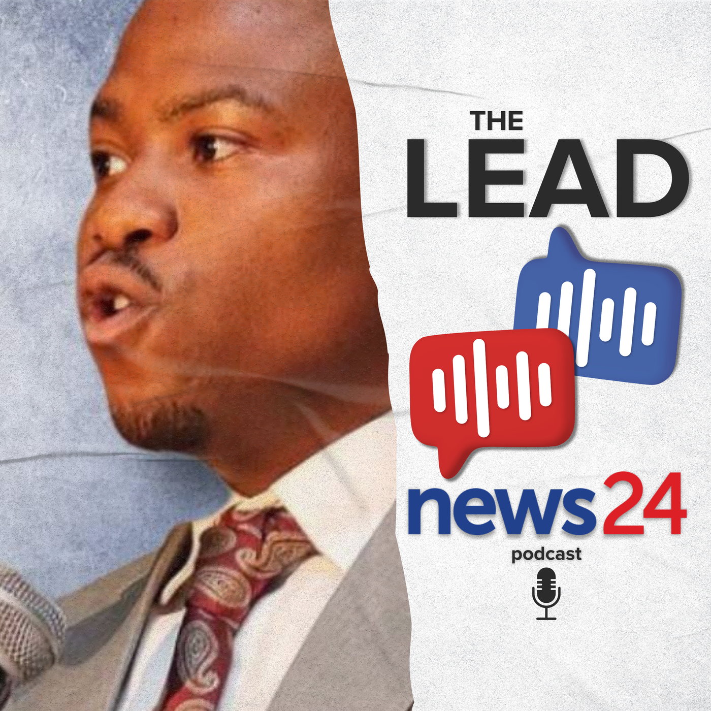 Red tender flags, yet PP clears Gauteng in Mashatile sons’ deal episode artwork