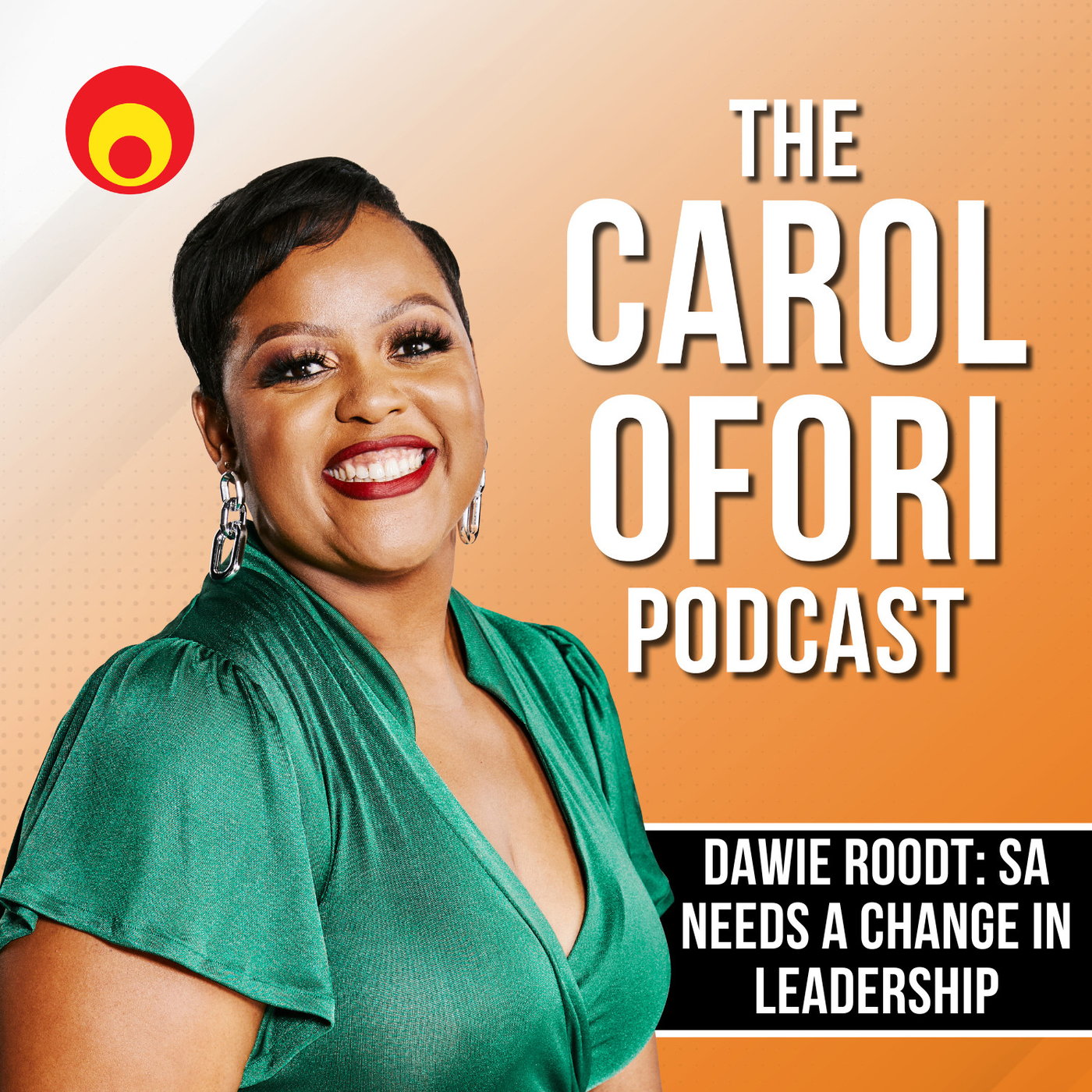 Are we heading for a serious financial crisis? Yes, says Dawie Roodt episode artwork