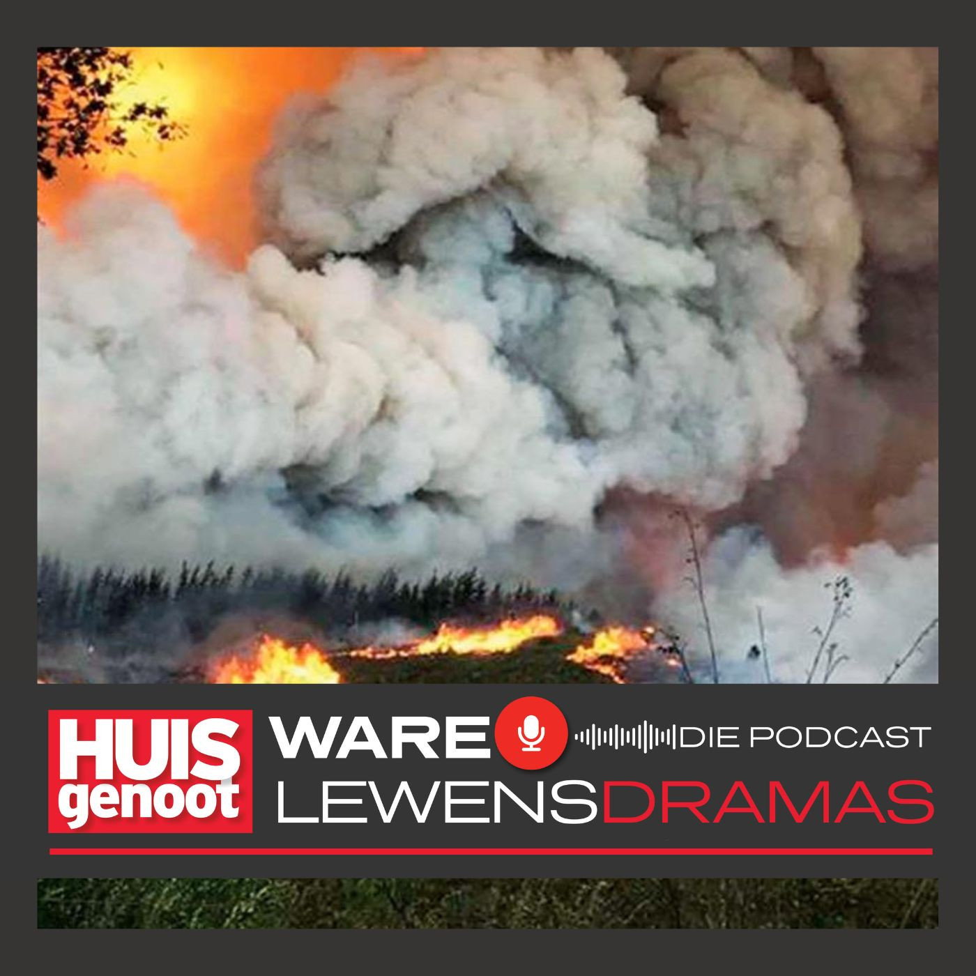 Episode 8: Die Knysna-brand