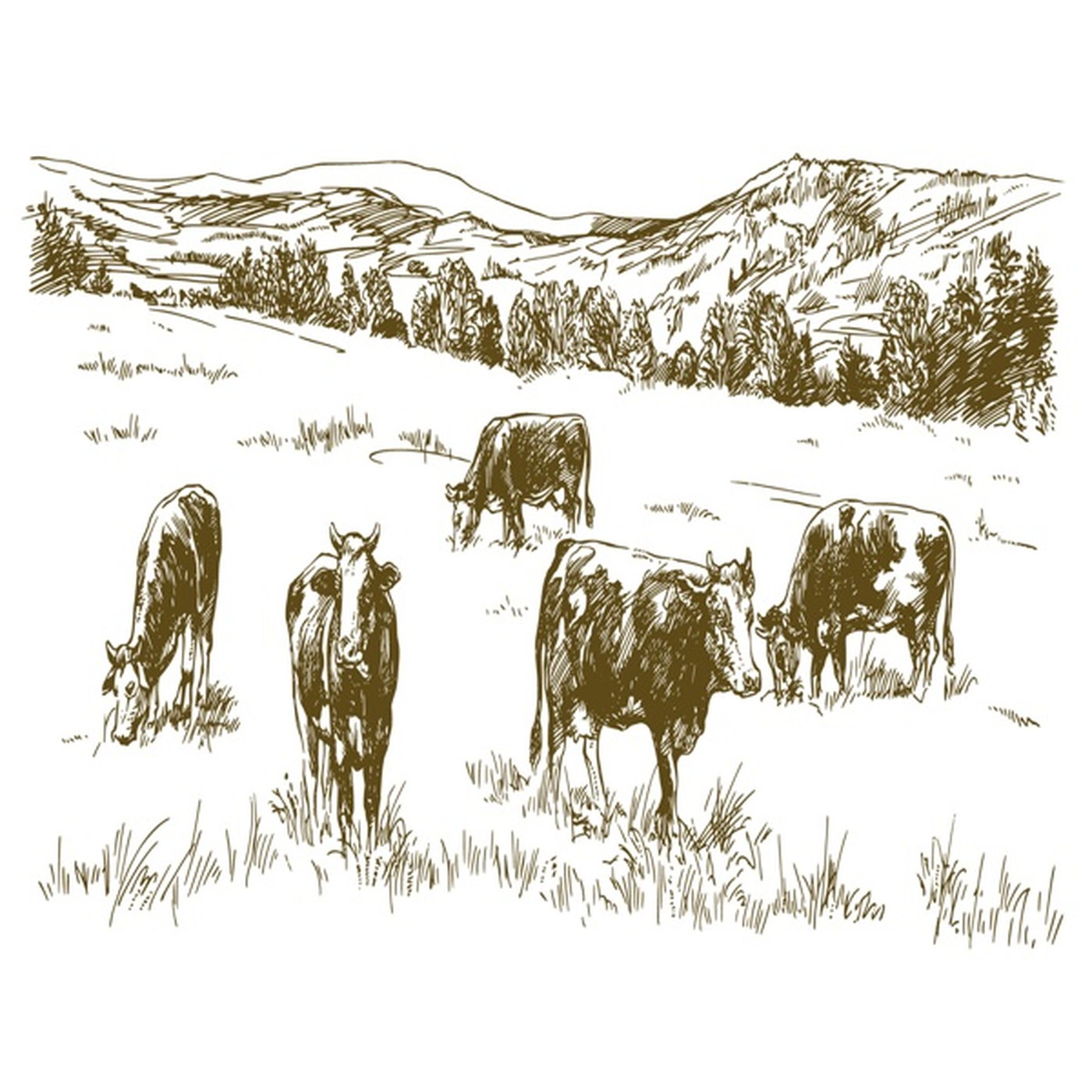 Die rol van beeste in die Suid-Afrikaanse geskiedenis episode artwork