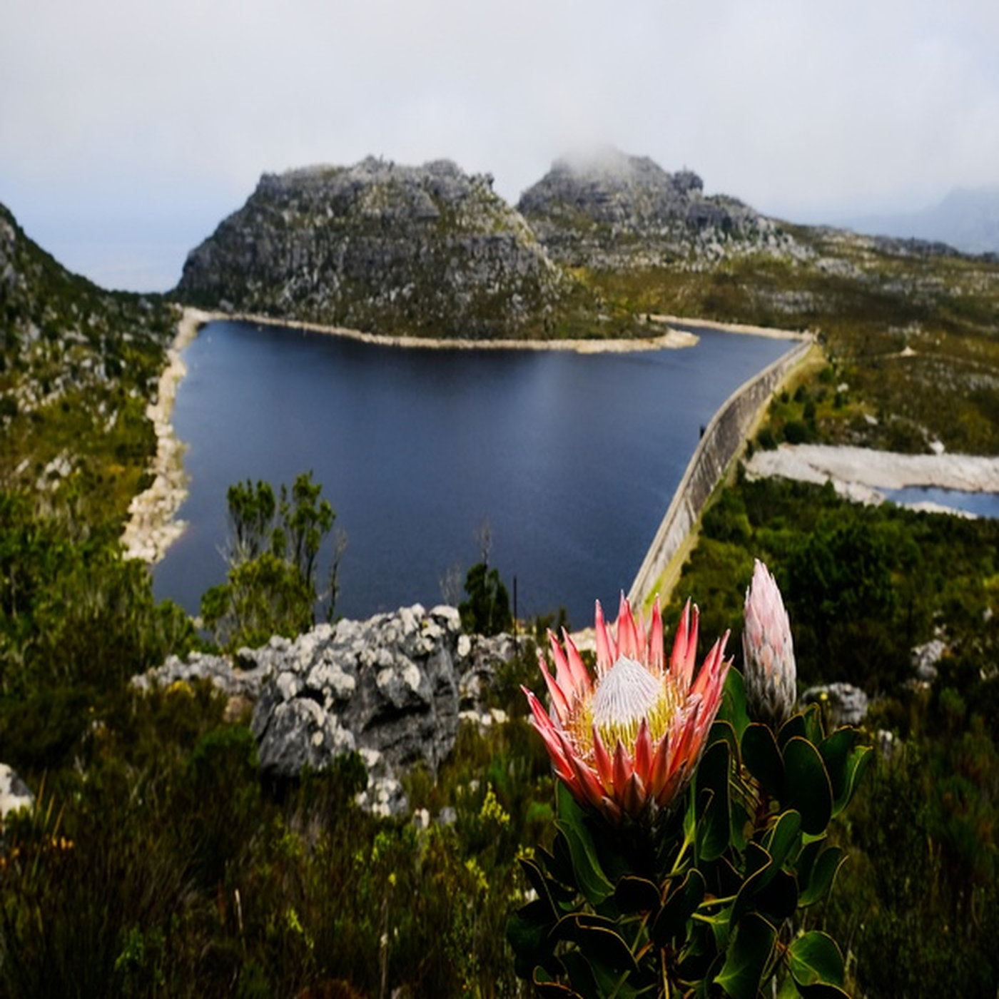 Damme van Suid-Afrika episode artwork
