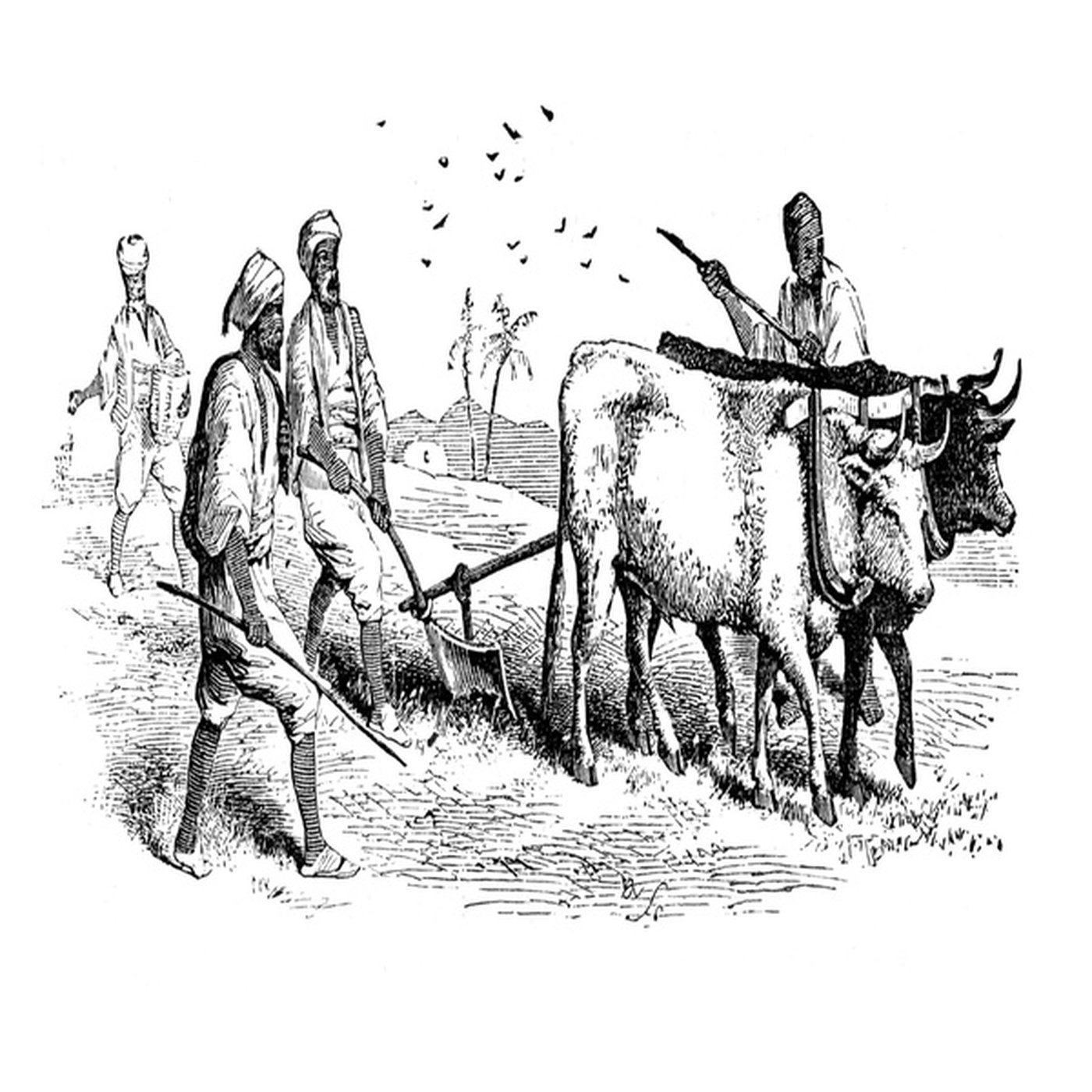 Eerste boere in Suider-Afrika episode artwork