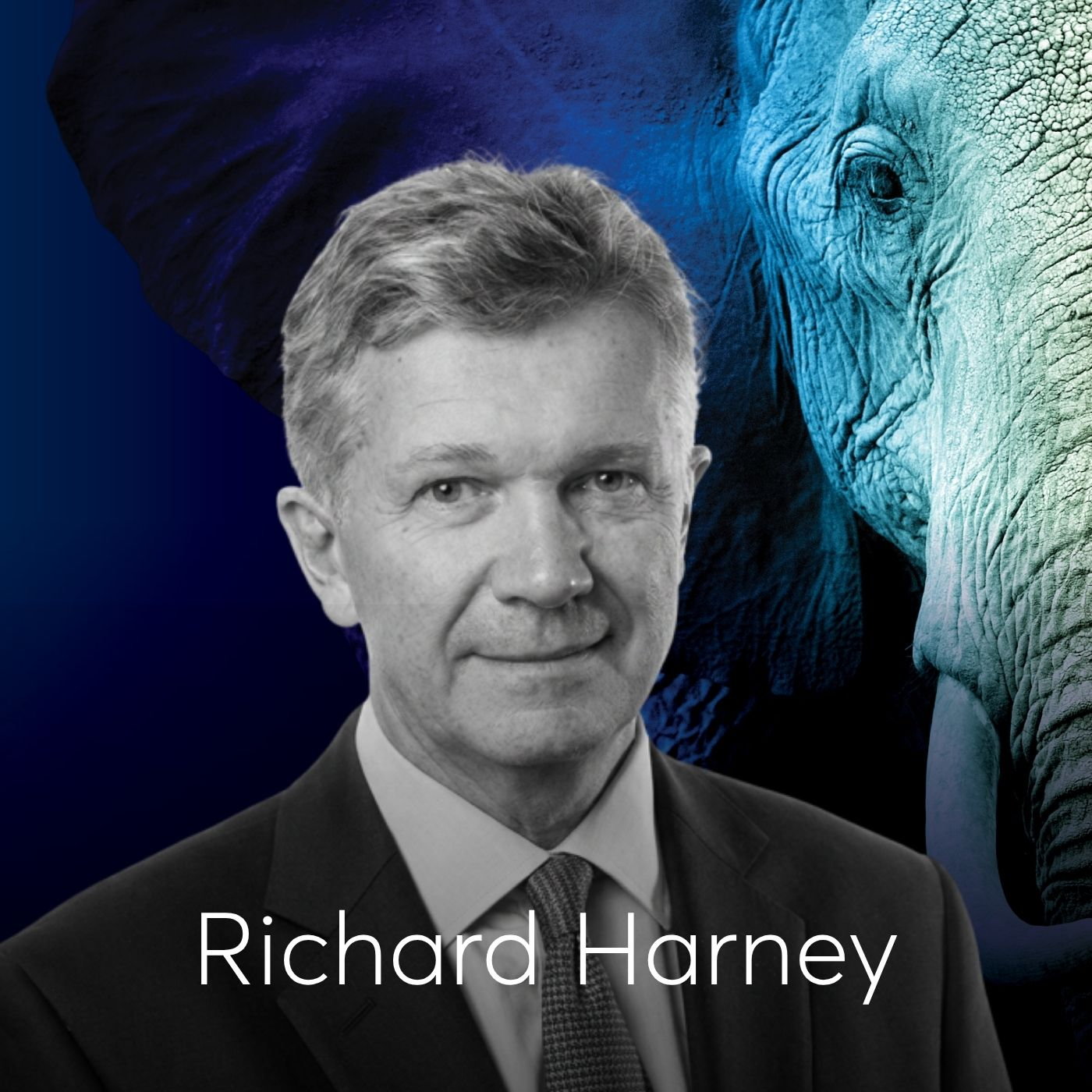 Building beyond borders: Lessons from Richard Harney