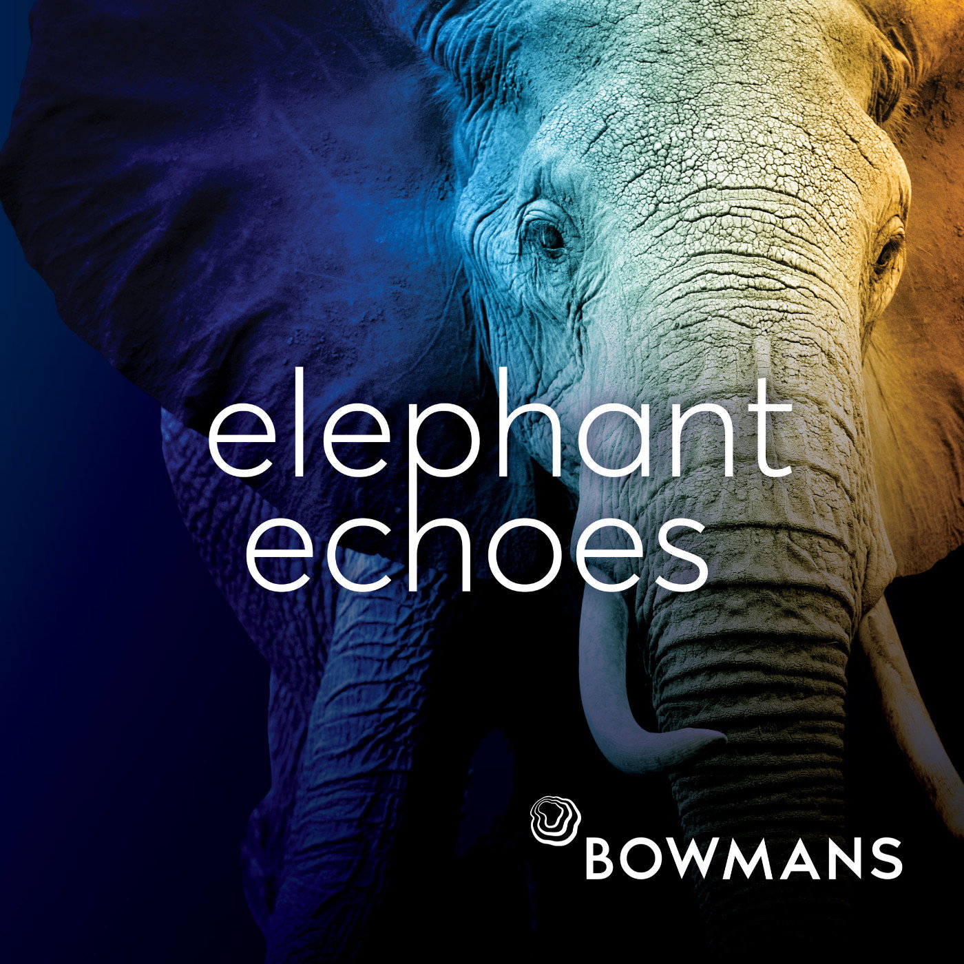 Elephant Echoes