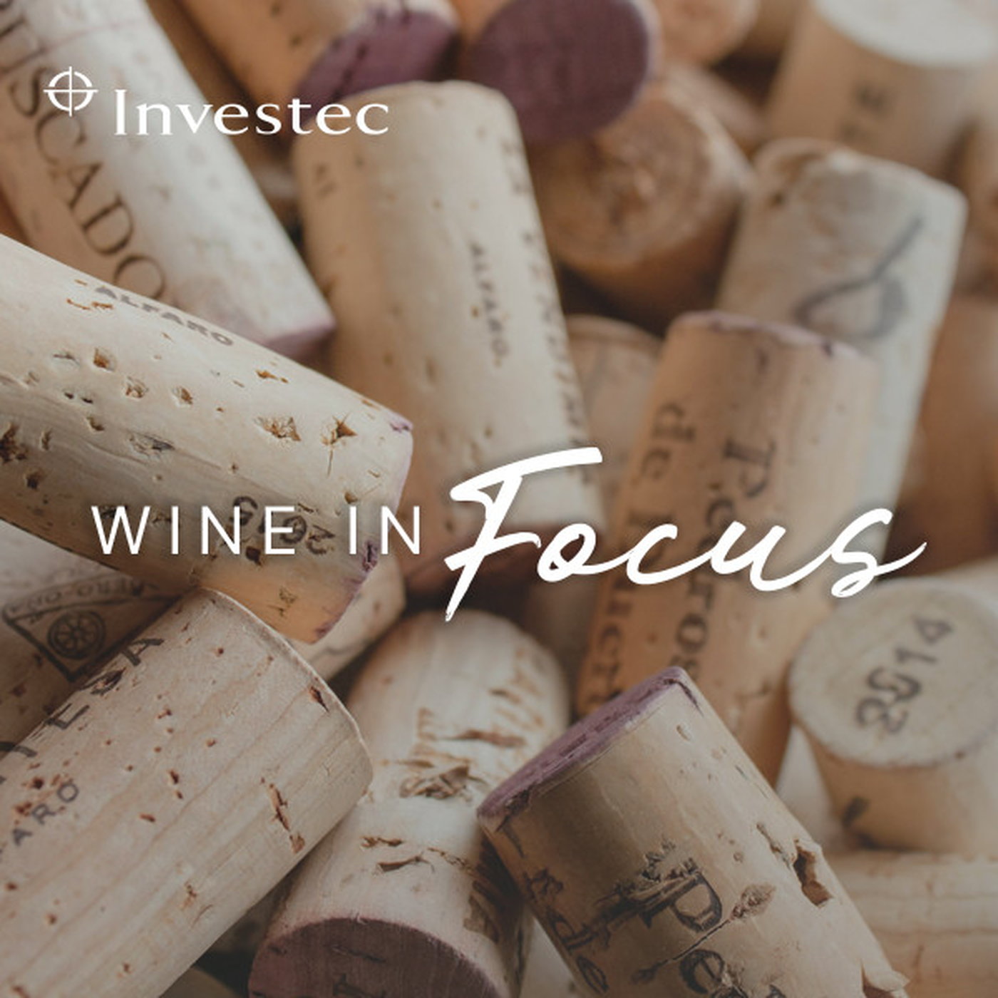 Wine in Focus Ep 1 | Investing in wine: Pairing enjoyment with returns