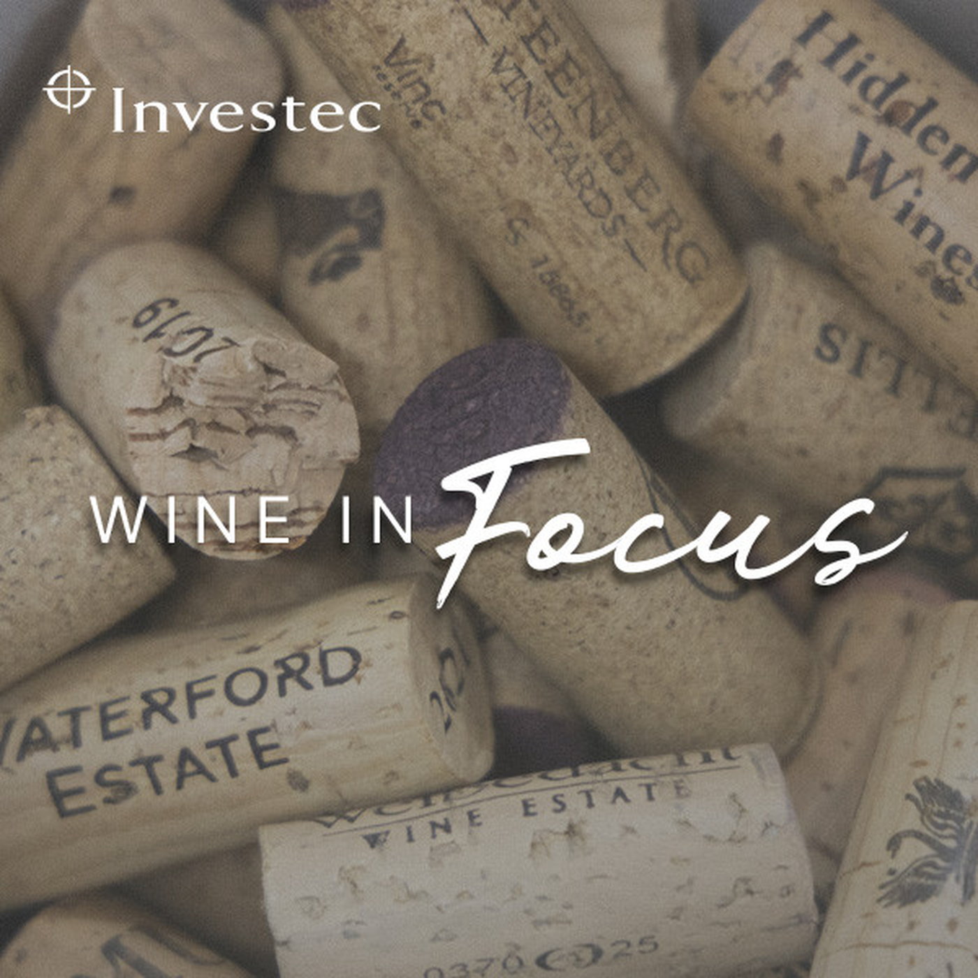 Wine in Focus Ep 4 | The changing face of the wine industry