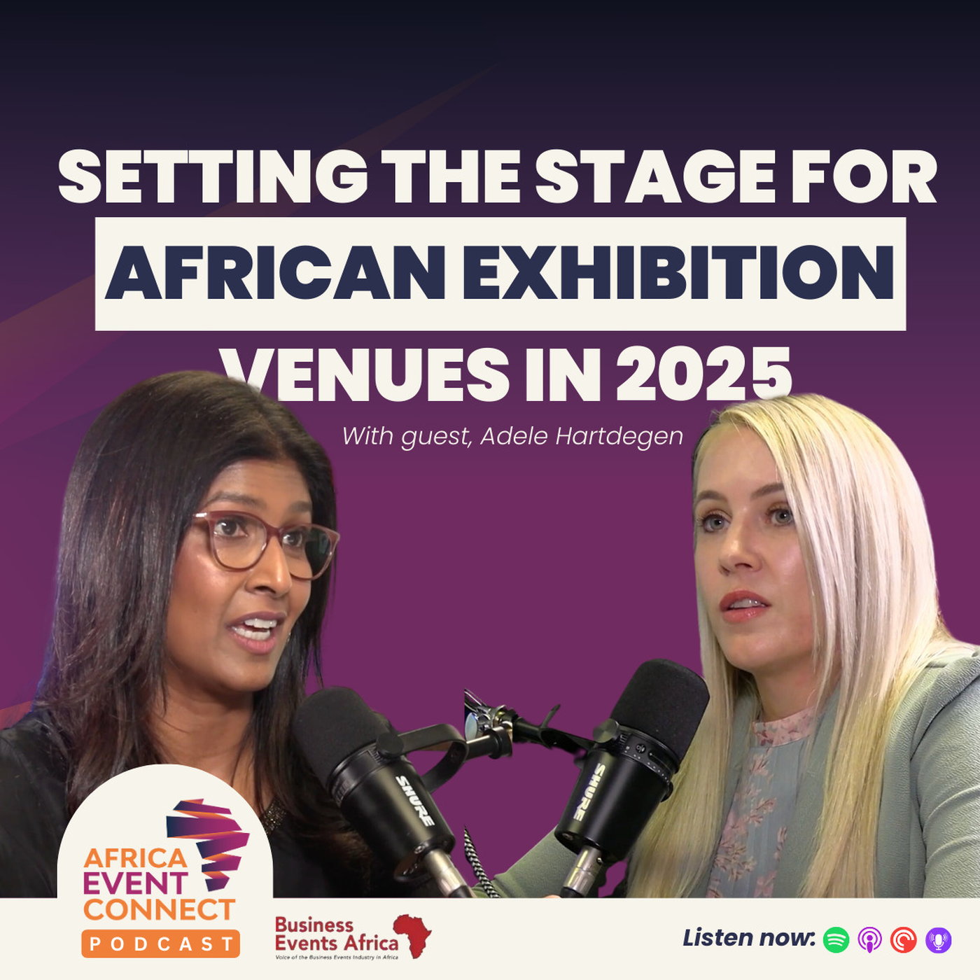 Setting The Stage For African Exhibition Venues in 2025 - with Adele Hartdegen episode artwork