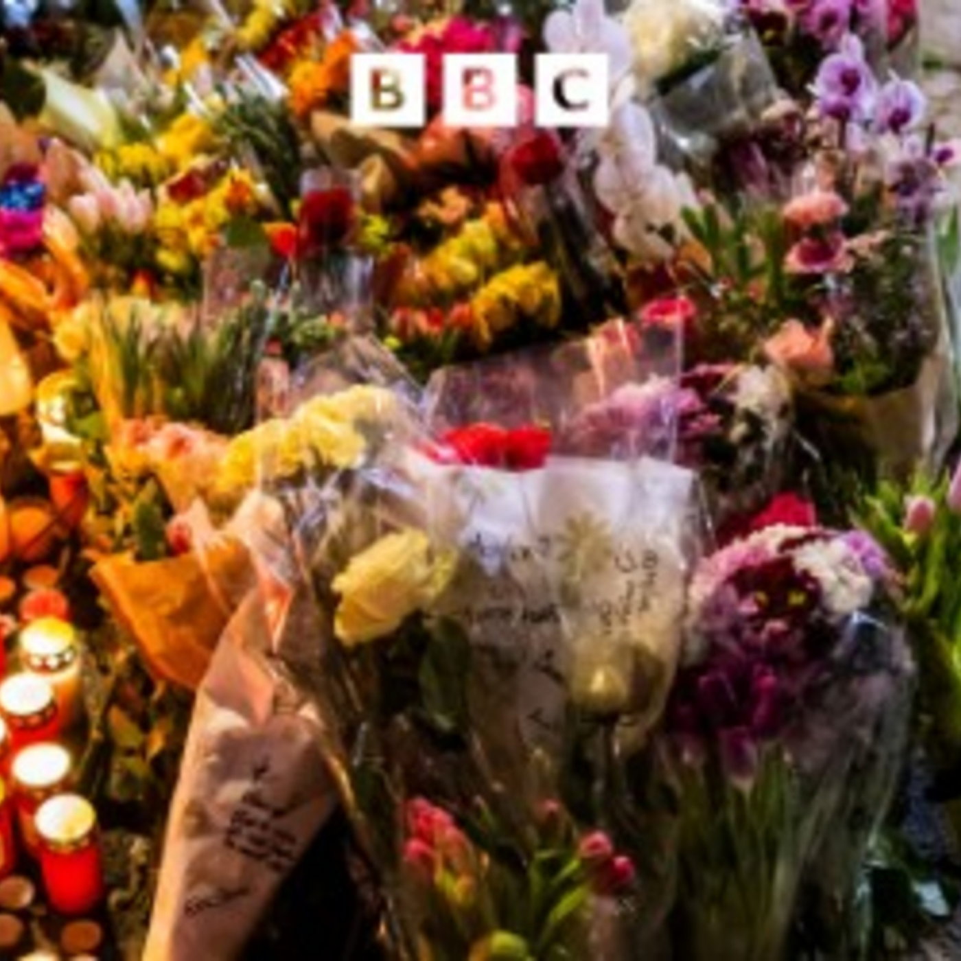 More questions about Swiss fire More questions about Swiss fire