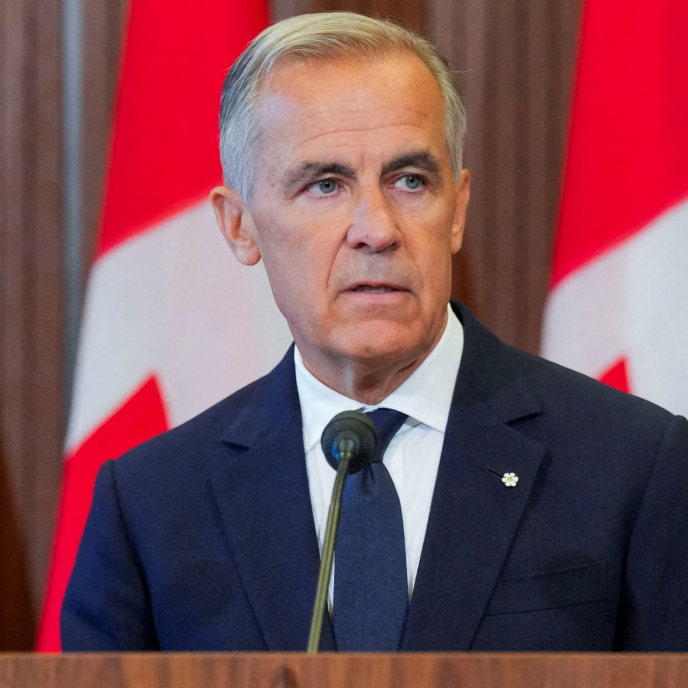 Canada says it has come under economic attack from the US episode artwork